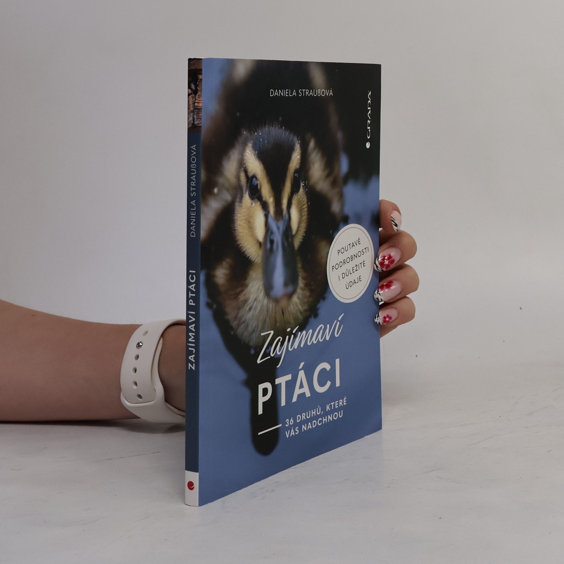 Daniela Strauß Zajímaví ptáci: 36 druhů, které vás nadchnou