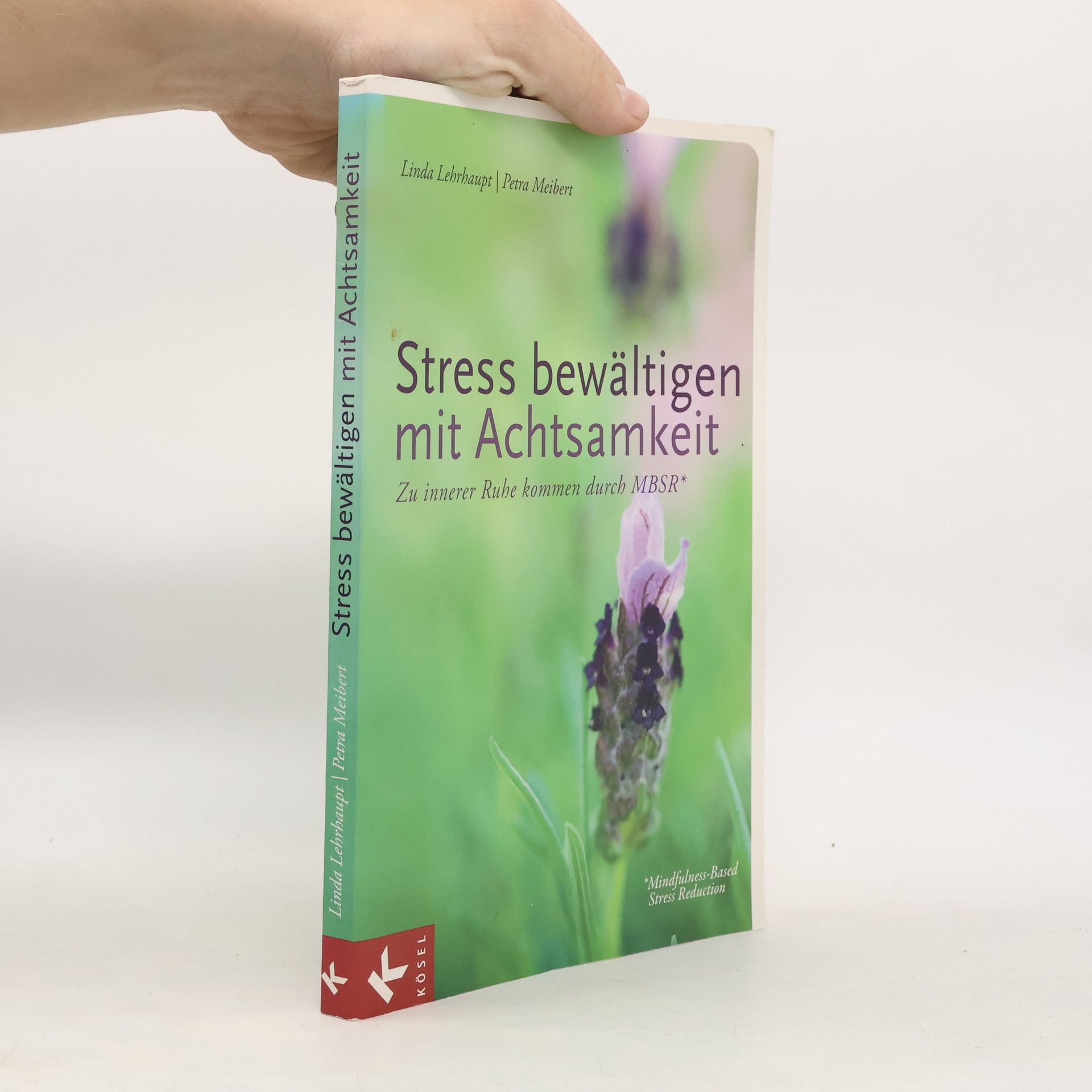 Linda Lehrhaupt Stress bewältigen mit Achtsamkeit. Zu innerer Ruhe kommen durch MBSR* - *Mindfulness-Based Stress Reduction