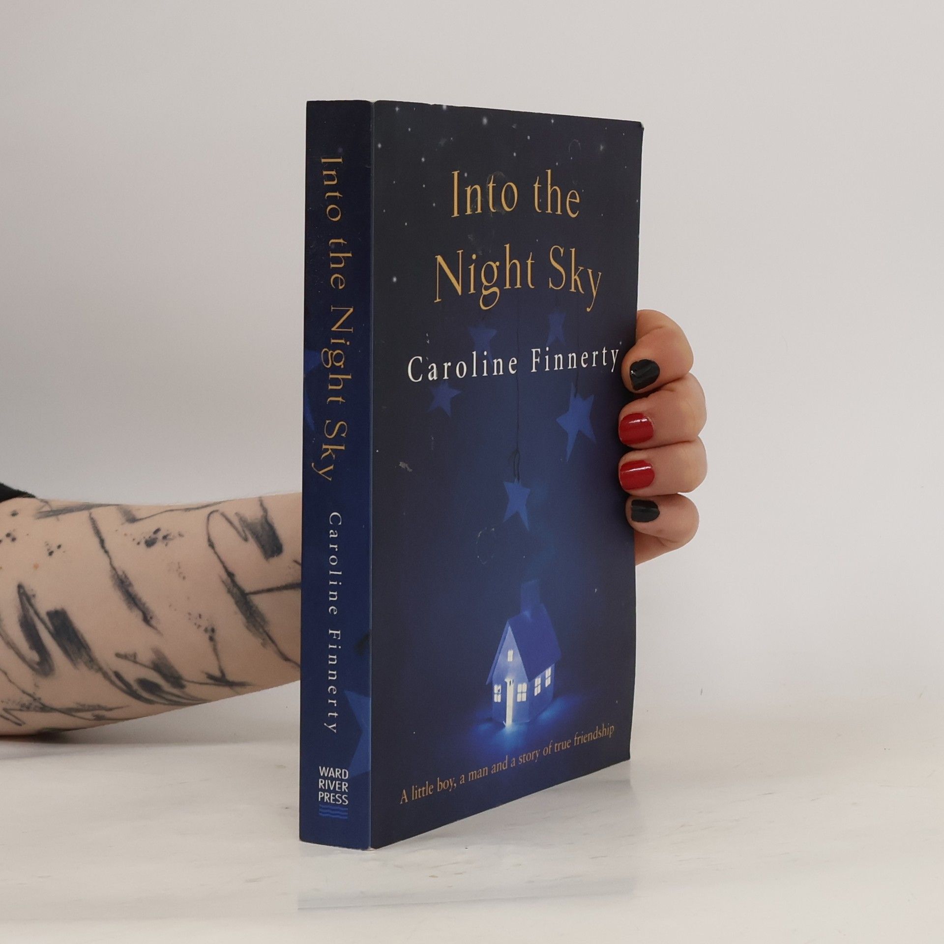 Caroline Finnerty Into the Night Sky