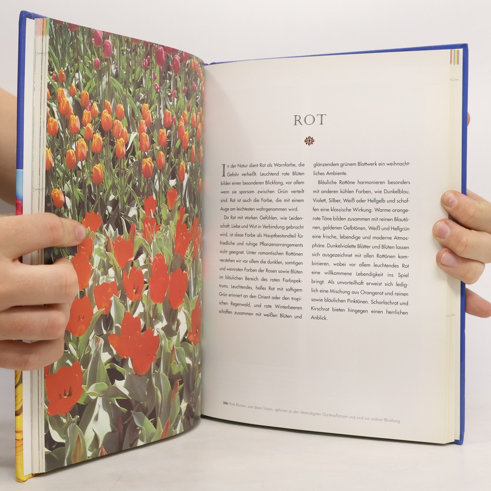 Jenny Hendy Gartengestaltung nach Farben