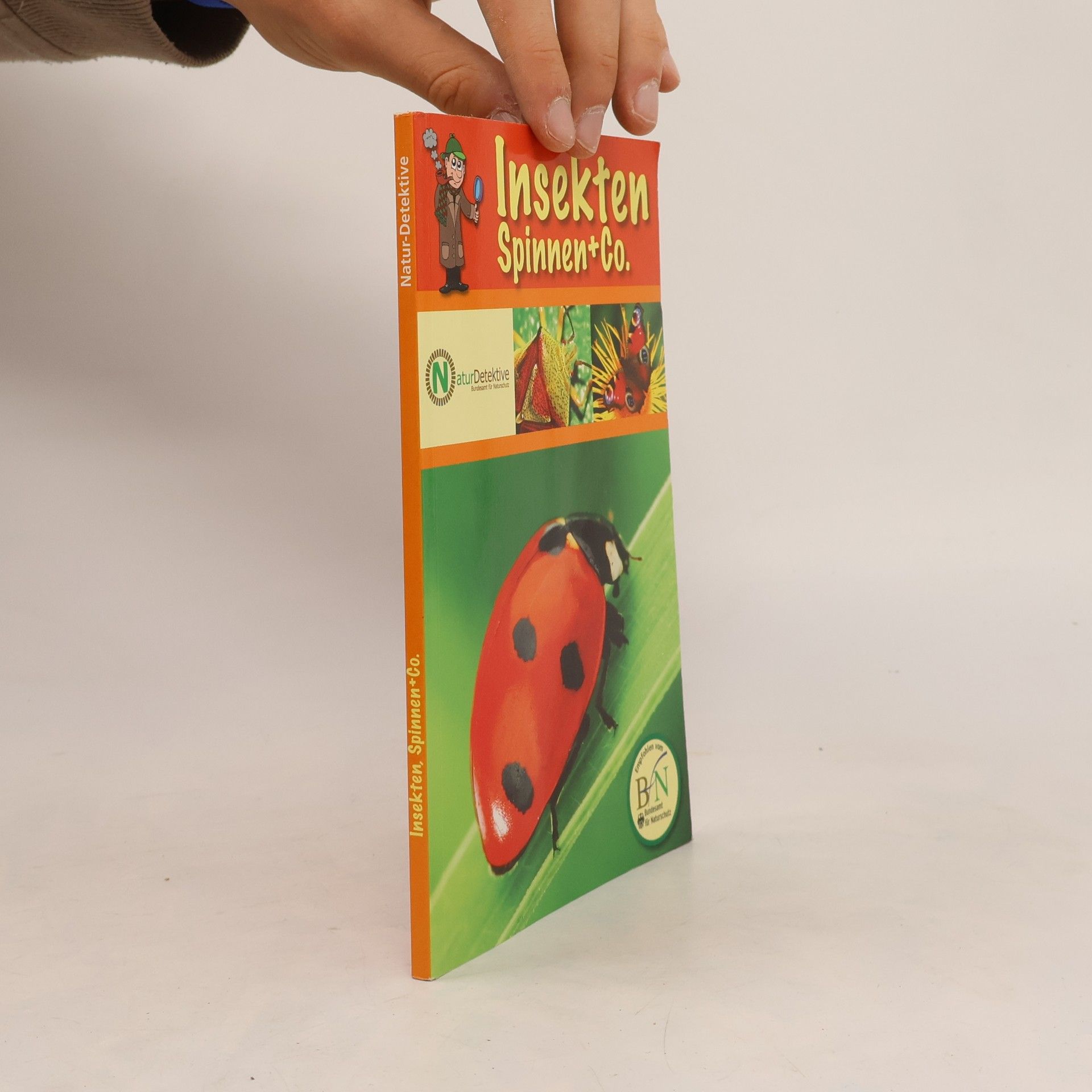Insekten, Spinnen + Co.