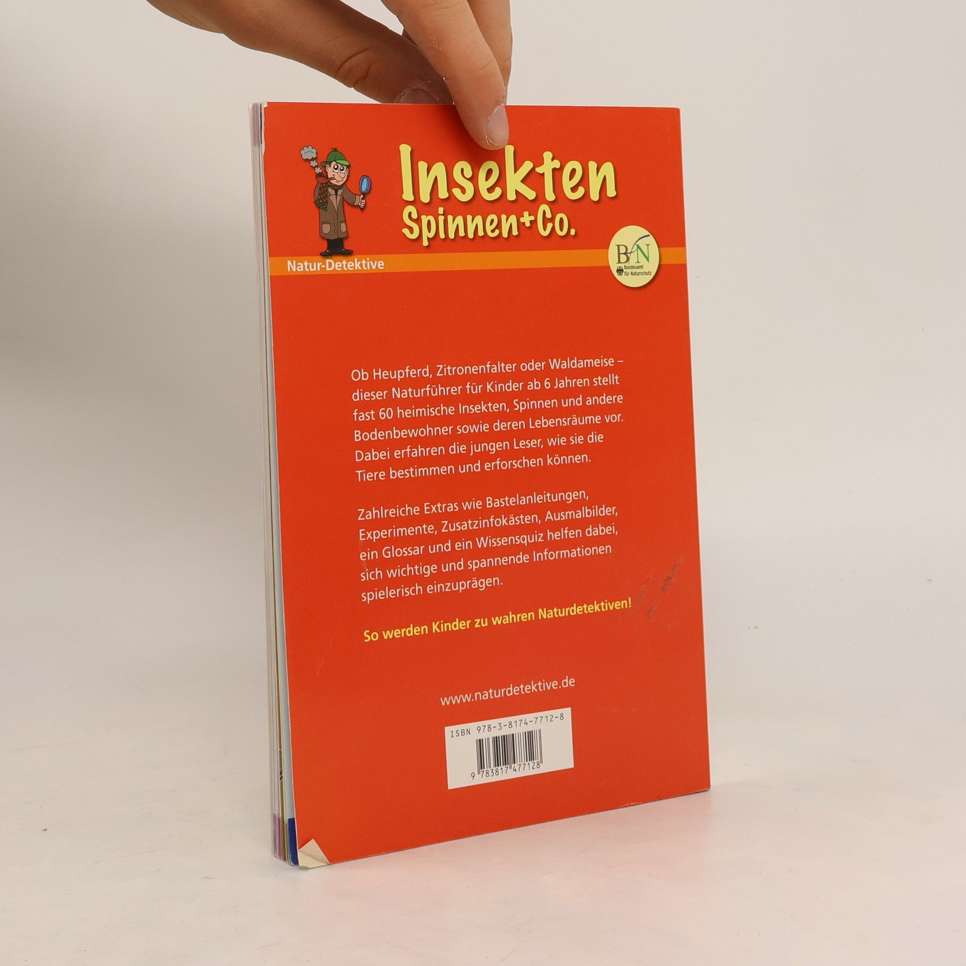 Feryal Kanbay Insekten, Spinnen + Co.