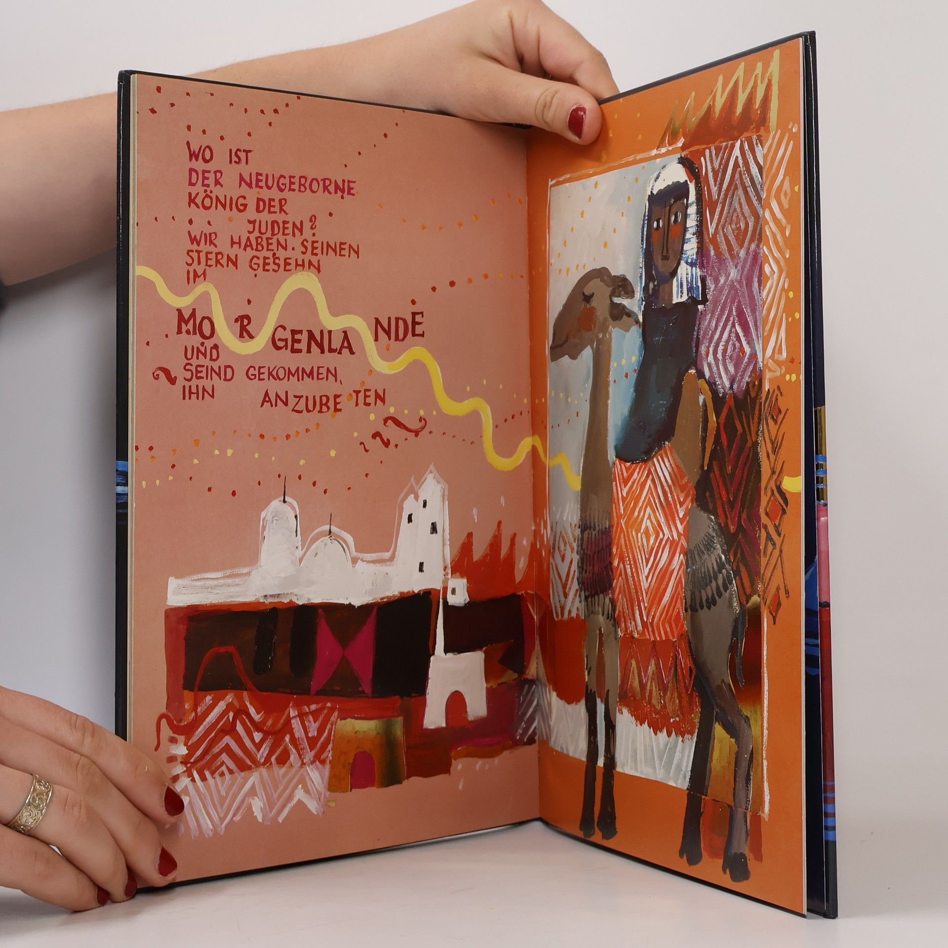 Rosina Wachtmeister Die Weihnachtsgeschichte