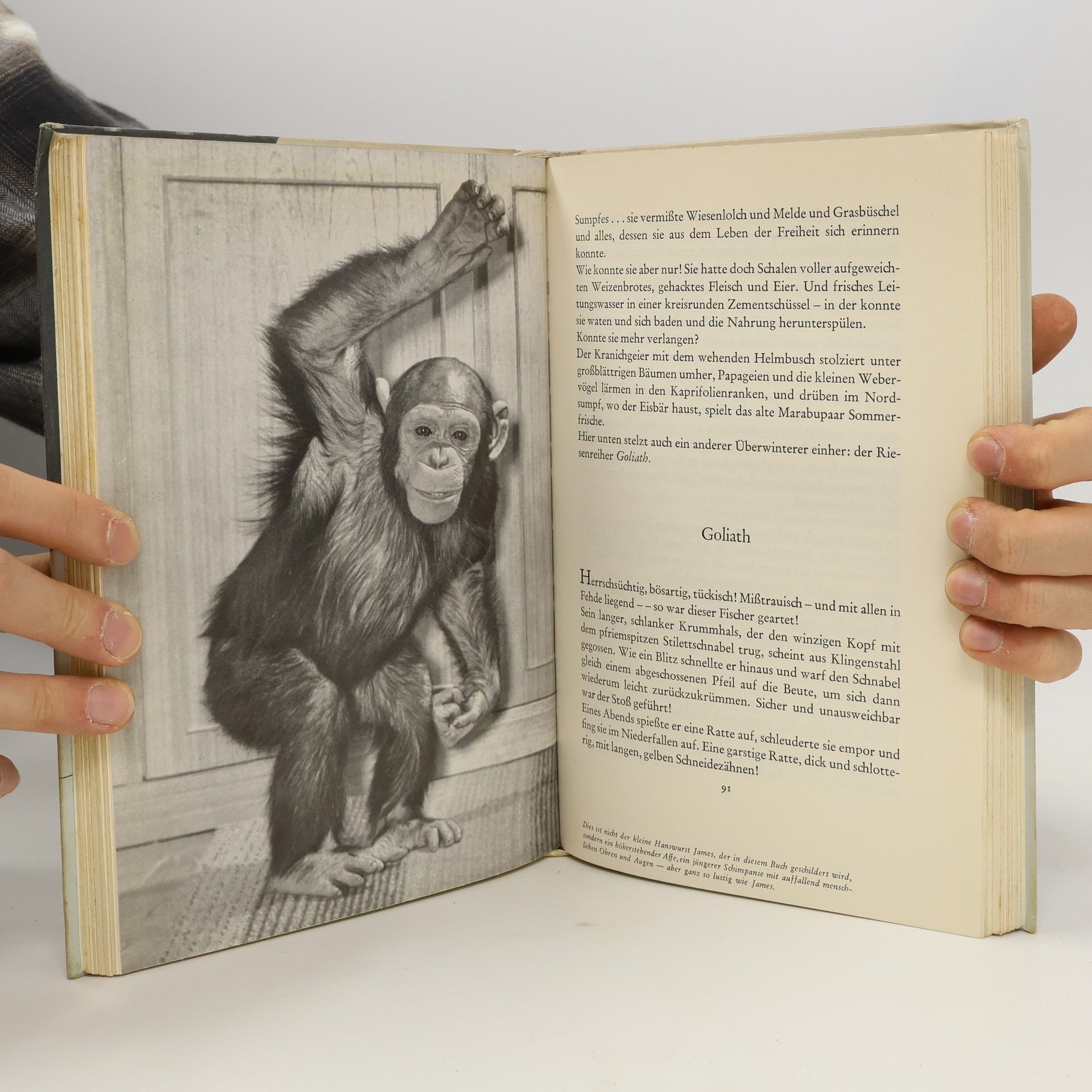Svend Fleuron Die gefesselte Wildnis