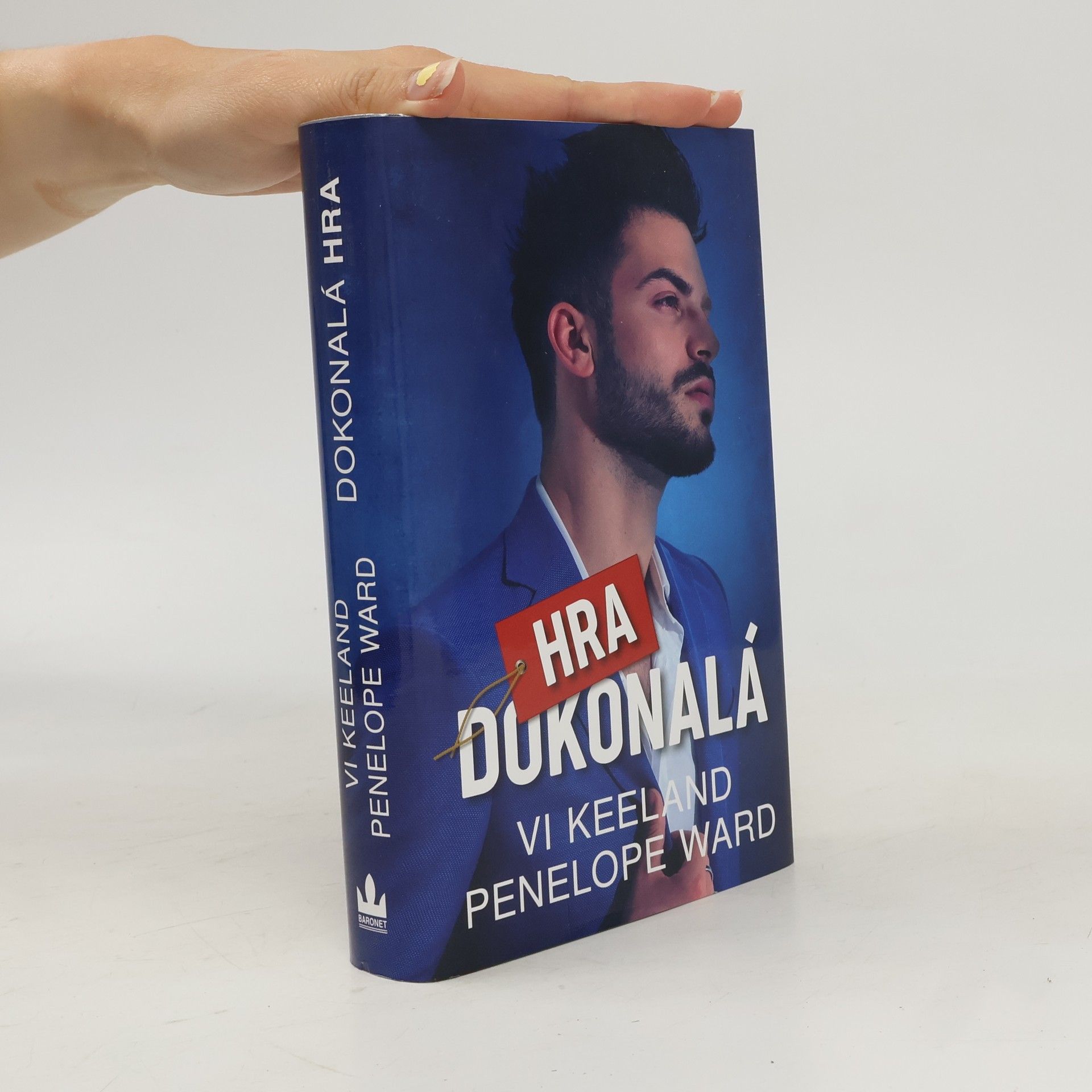 Vi Keeland Dokonalá hra