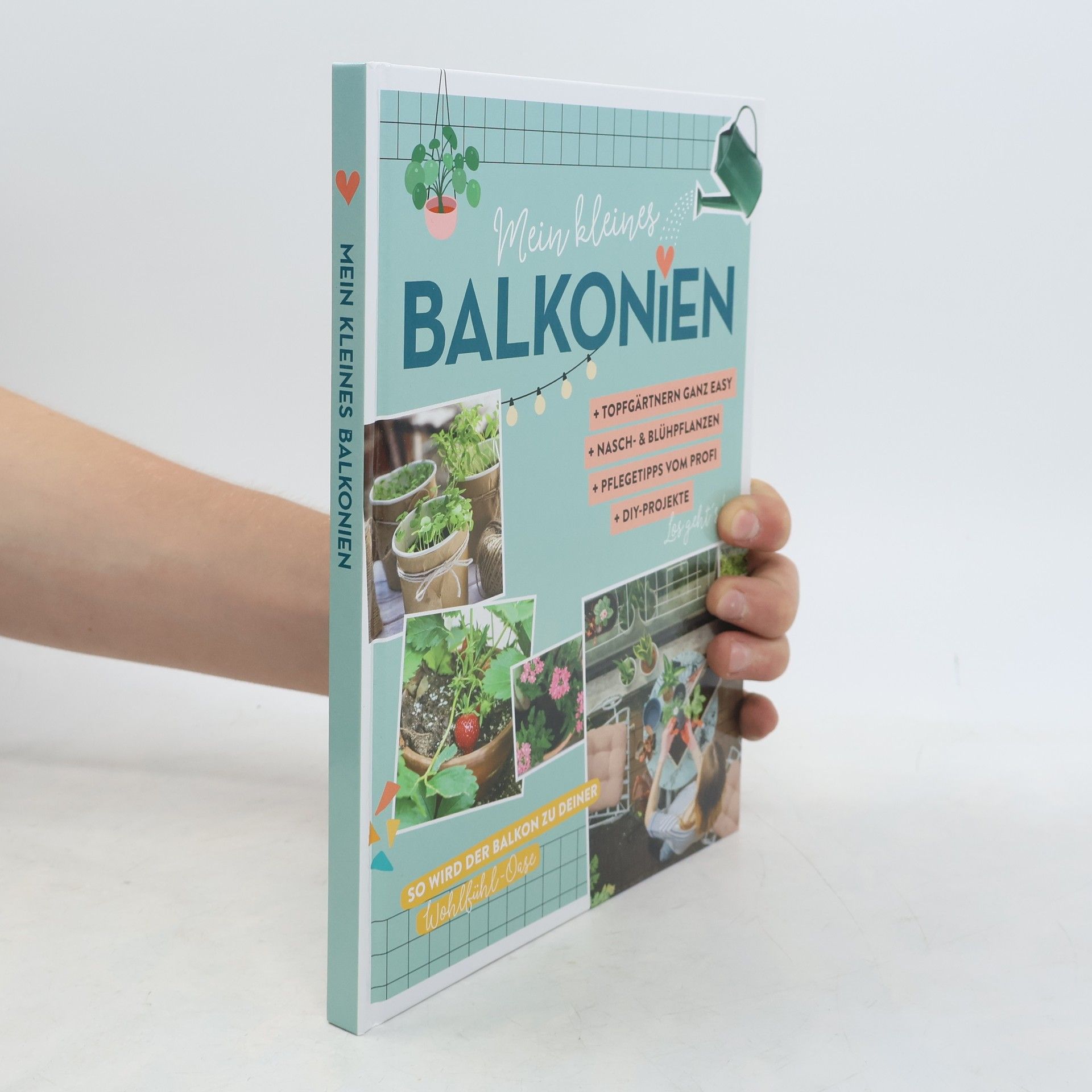 Autorenkollektiv Mein kleines Balkonien