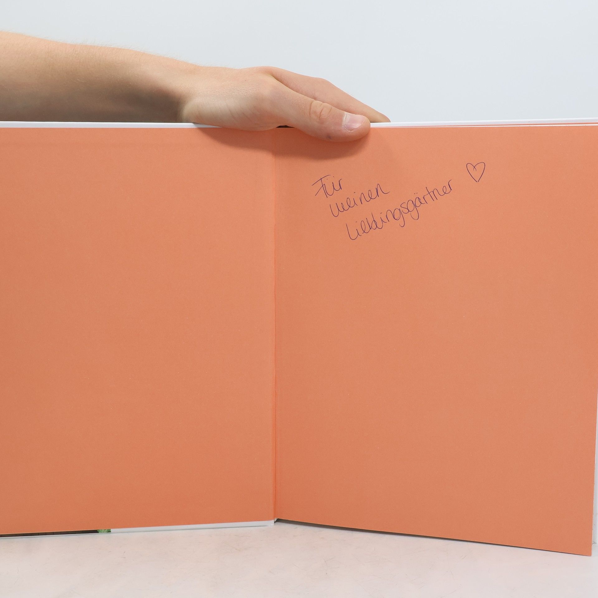 Autorenkollektiv Mein kleines Balkonien