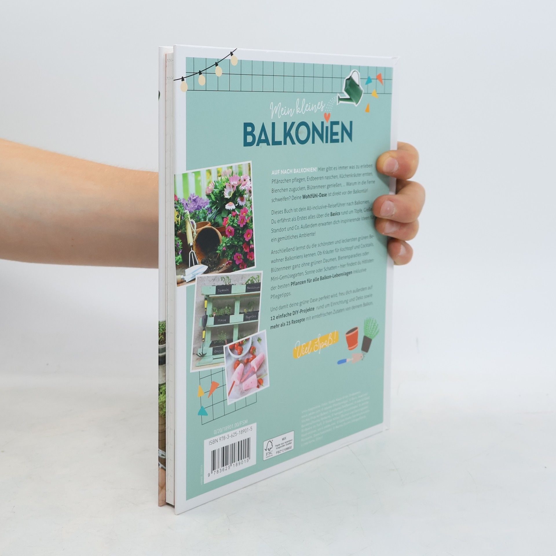 Autorenkollektiv Mein kleines Balkonien