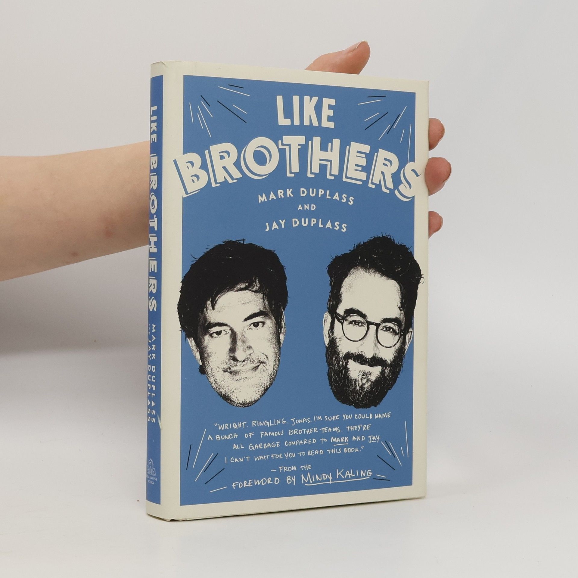 Jay Duplass Like Brothers