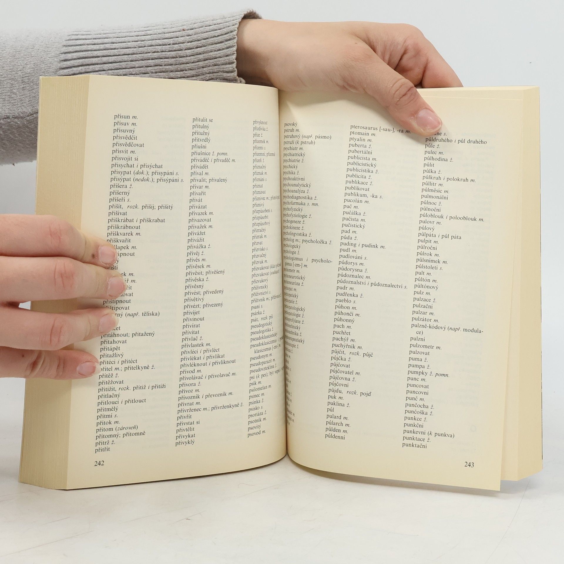 Various authors Pravidla českého pravopisu