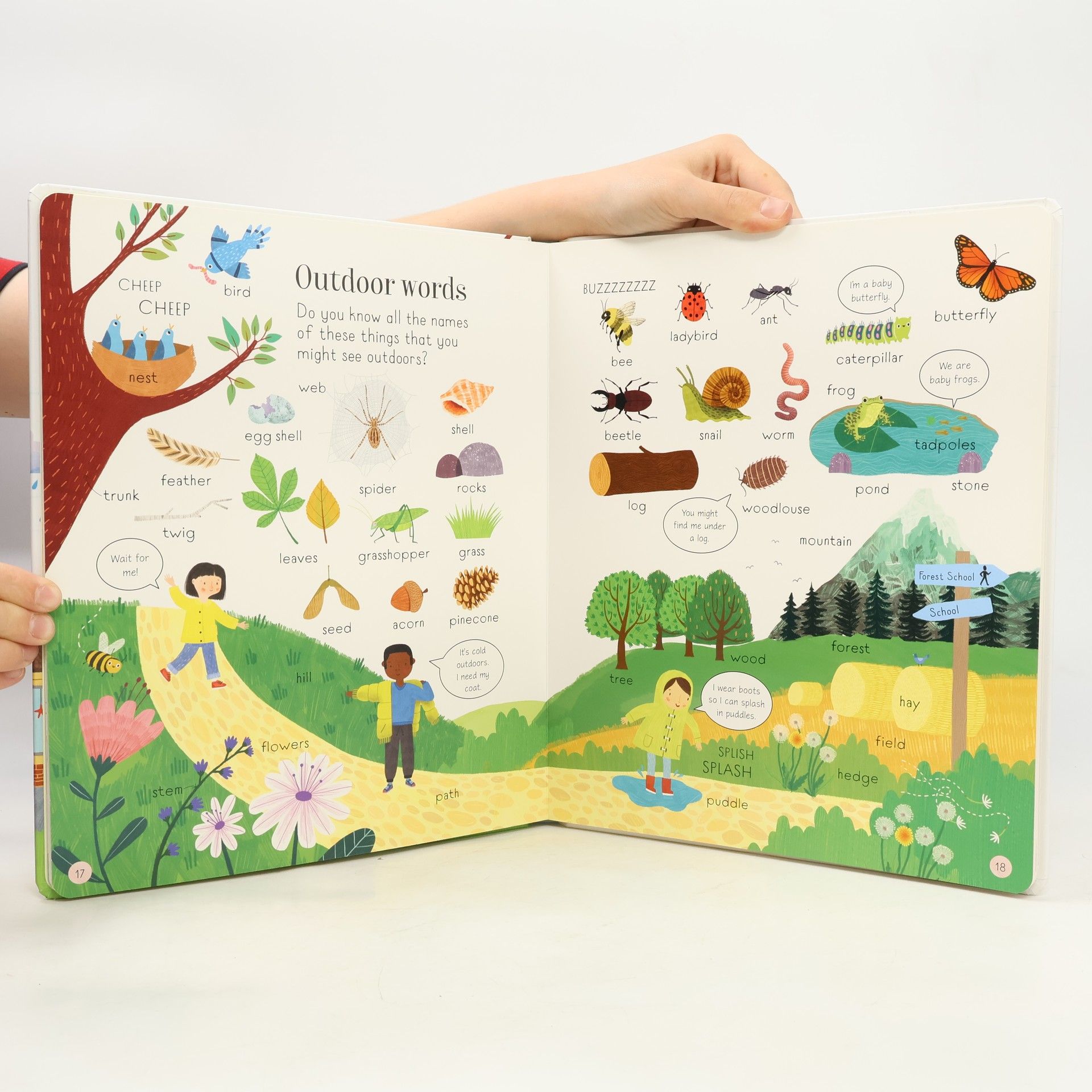 Felicity Brooks All the Words You Need to Know Before You Start School