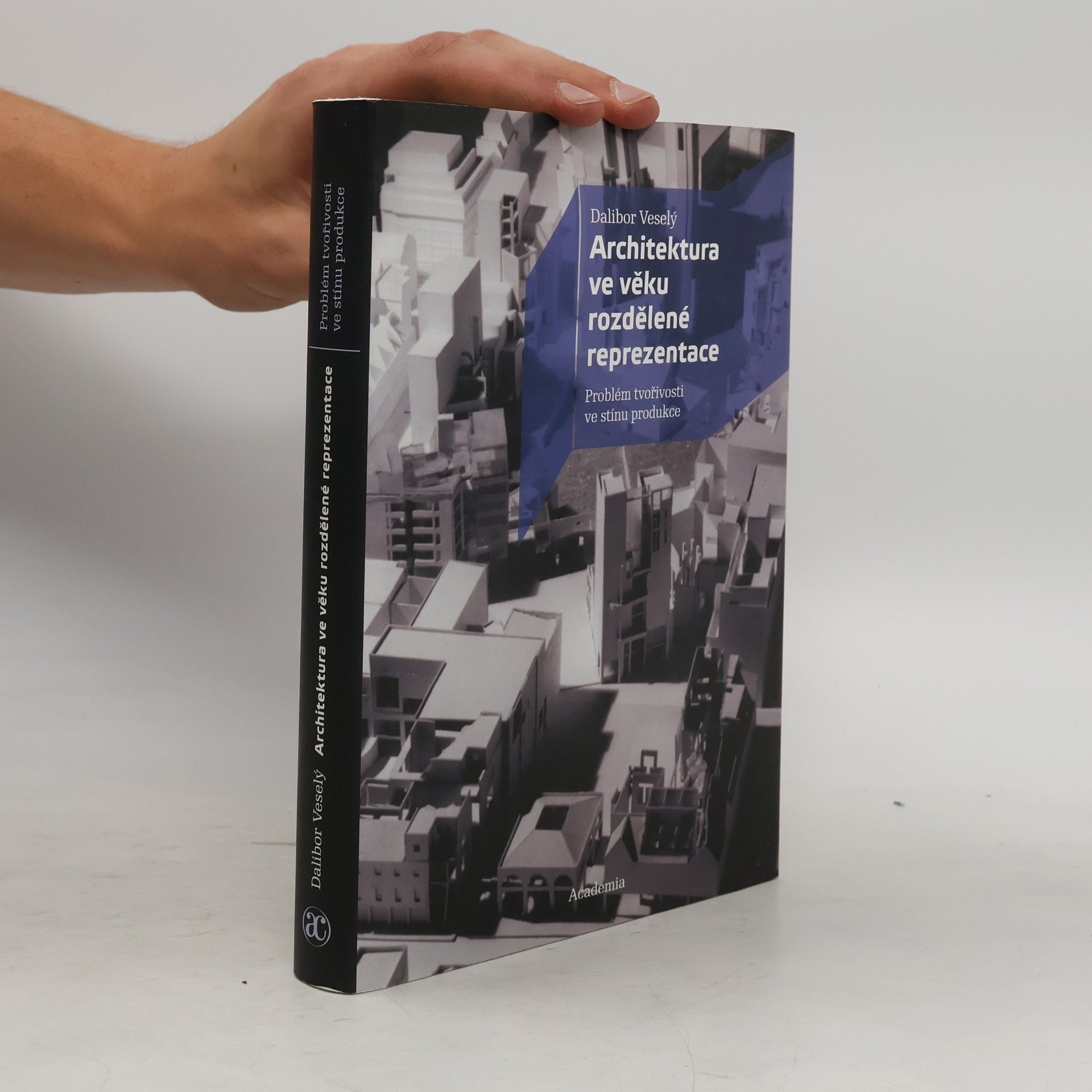 Dalibor Veselý Architektura ve věku rozdělené reprezentace: Problém tvořivosti ve stínu produkce