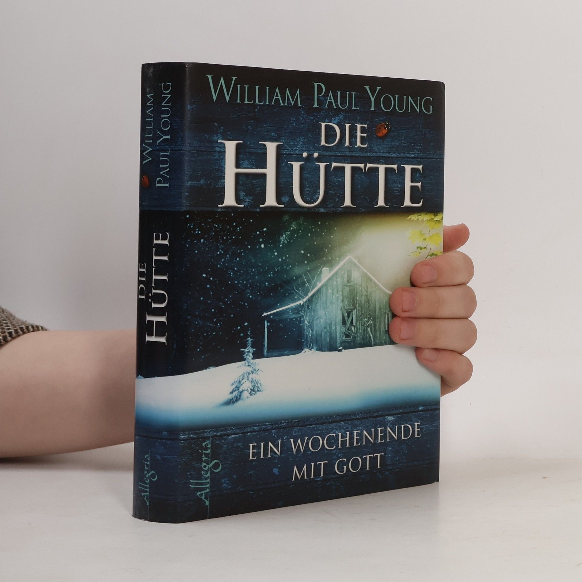 William P. Young Die Hütte