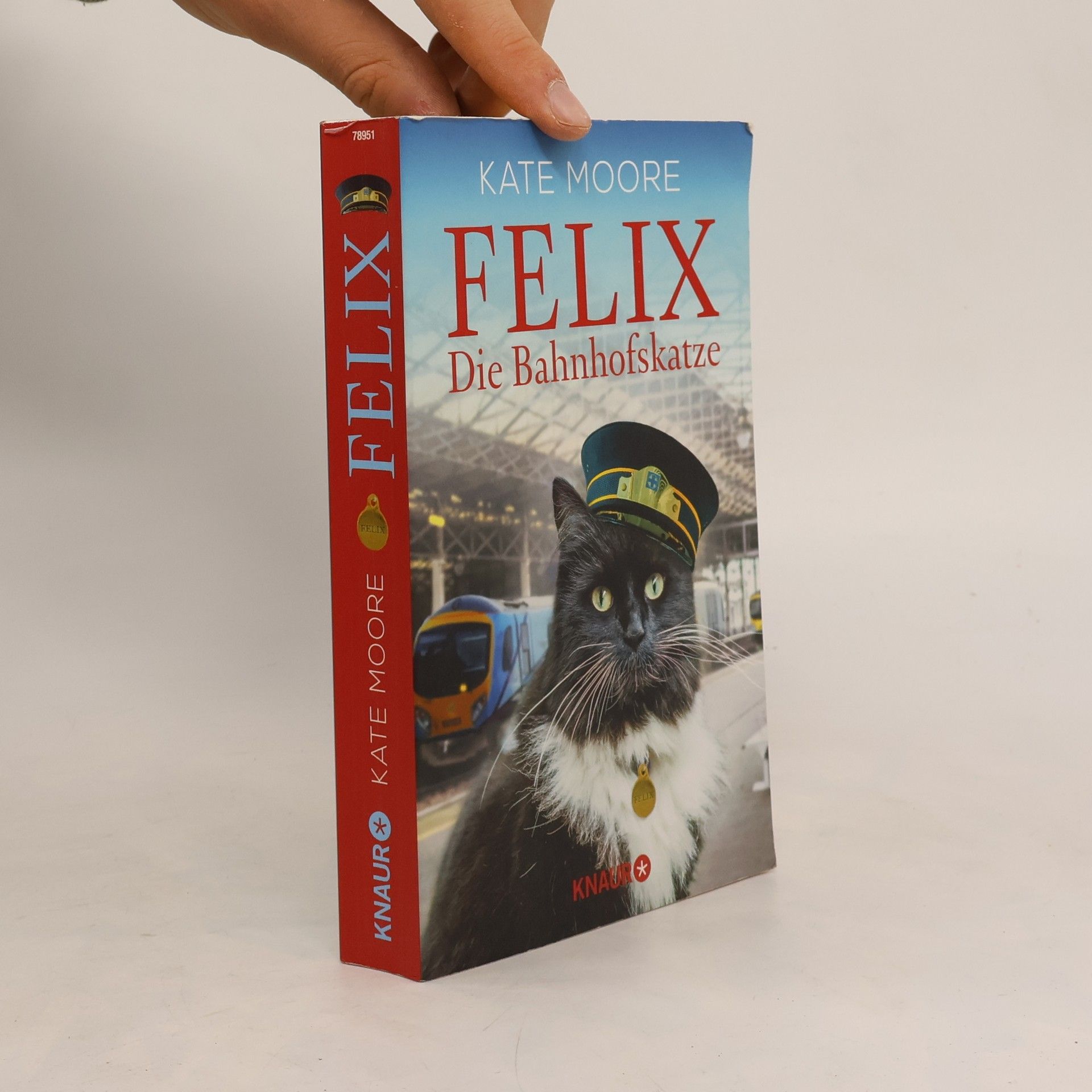 Kate Moore Felix - die Bahnhofskatze