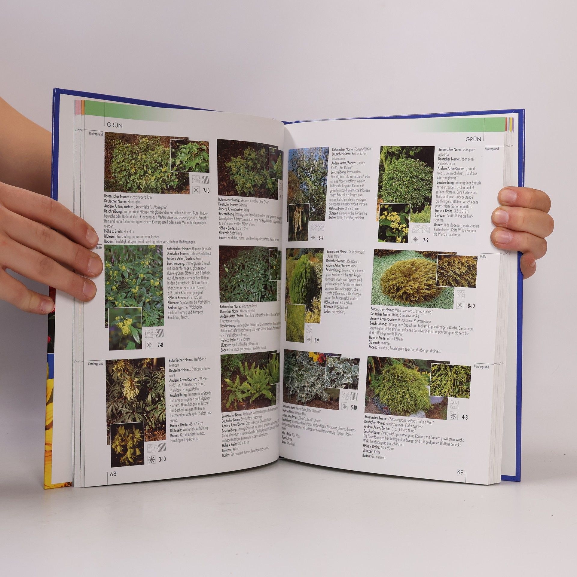 Jenny Hendy Gartengestaltung nach Farben
