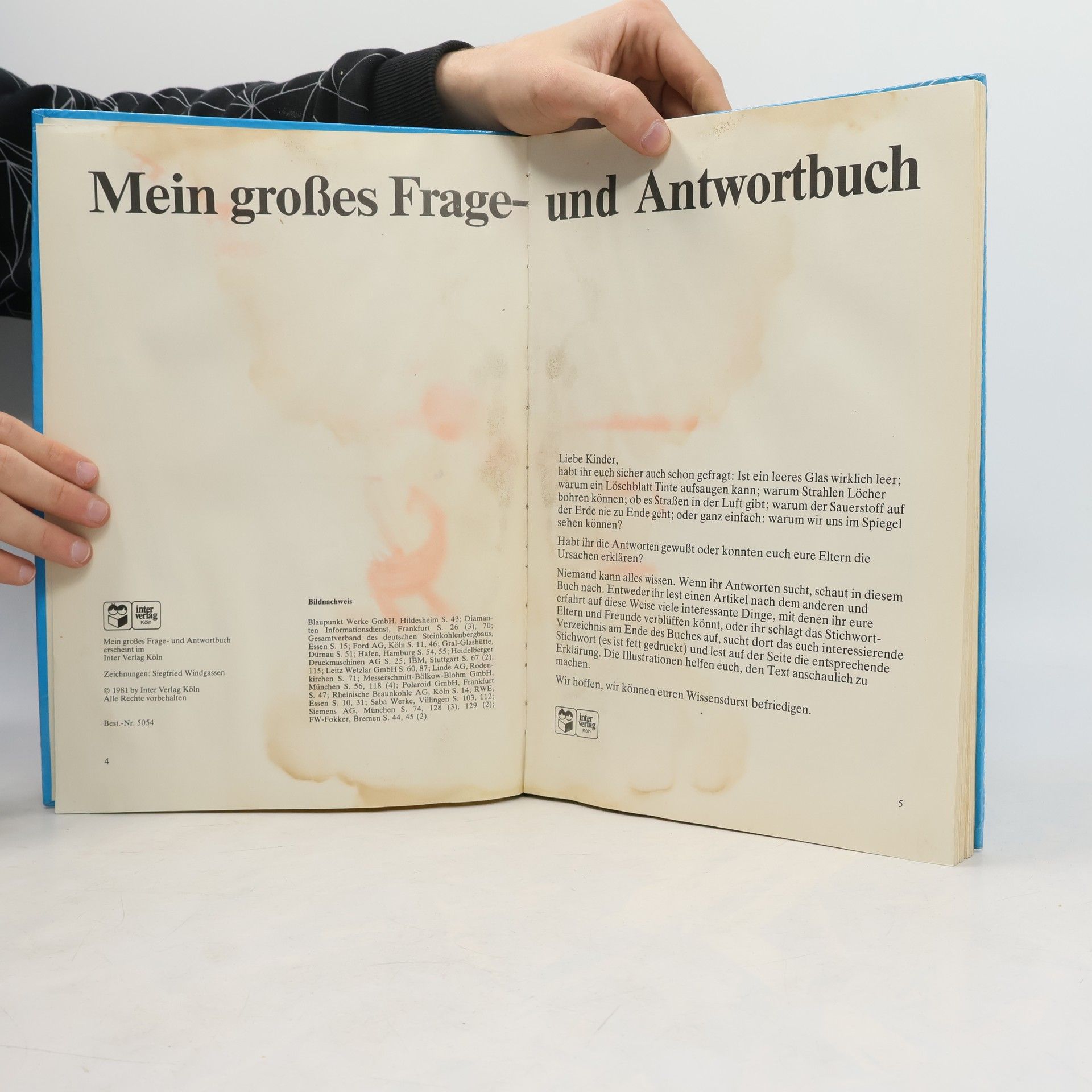 Autorenkollektiv Mein großes Frage & Antwort Buch