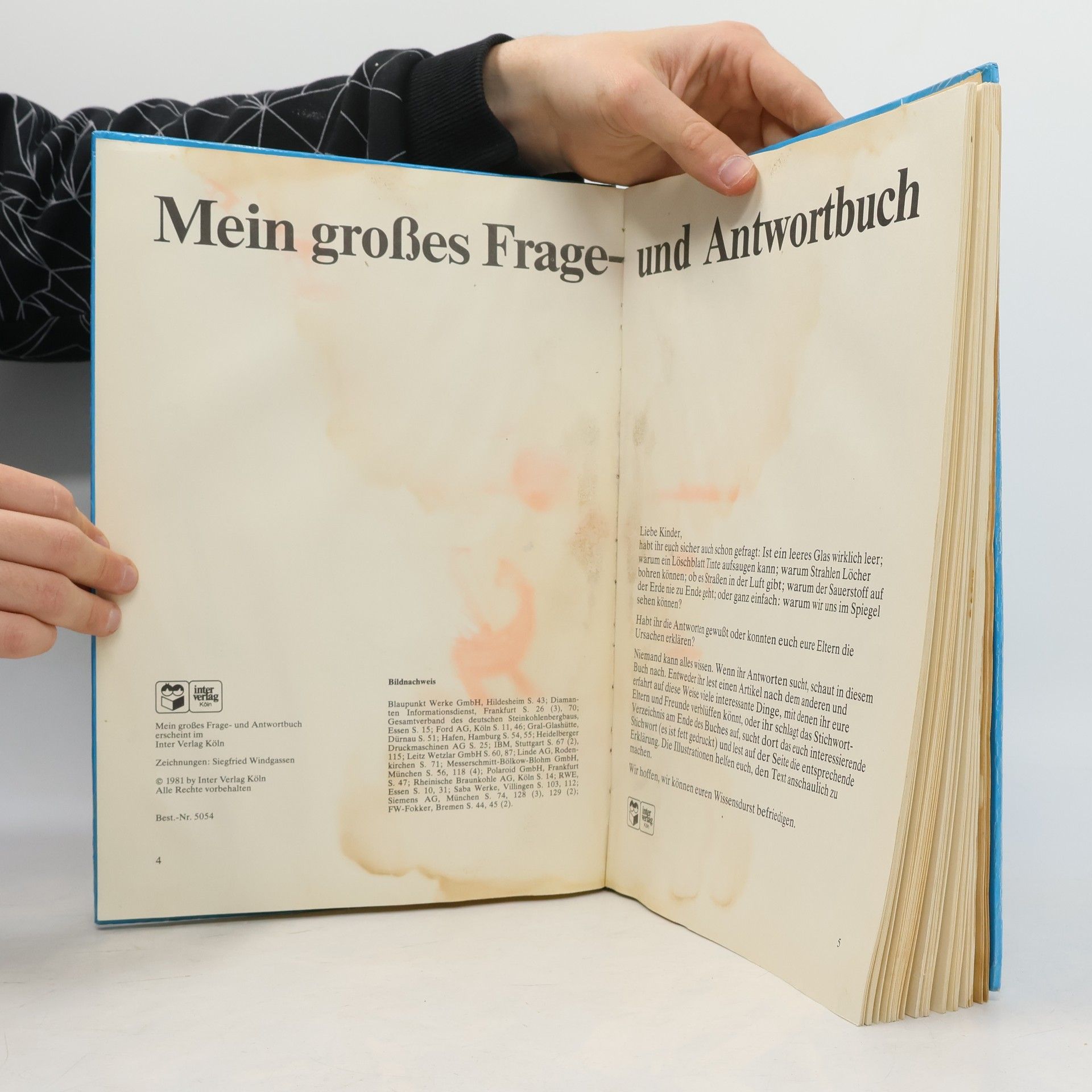 Autorenkollektiv Mein großes Frage & Antwort Buch