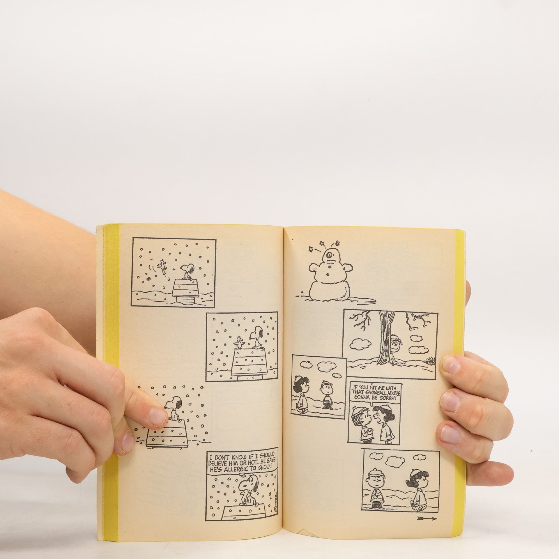 Charles Monroe Schulz Take It Easy, Charlie Brown
