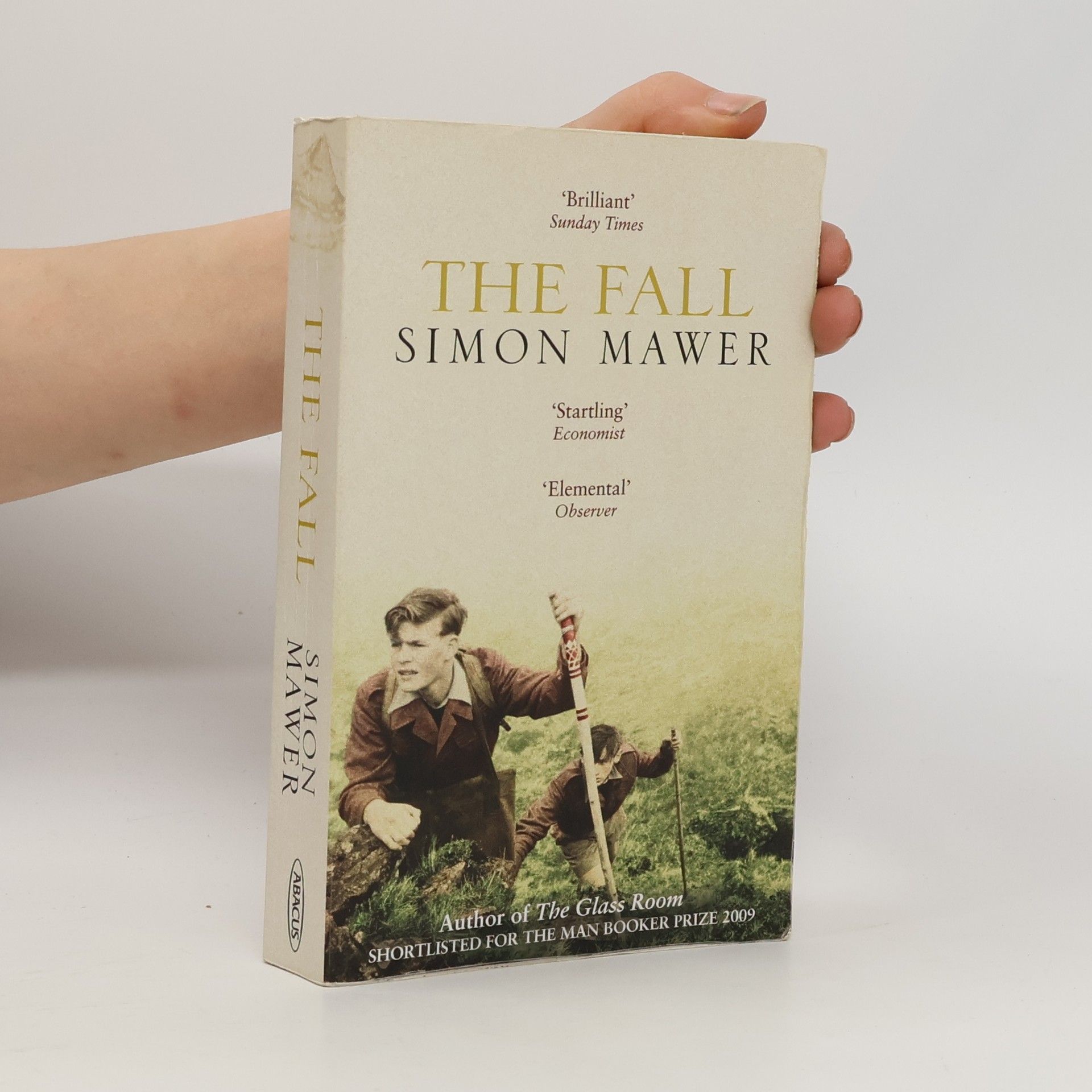 Simon Mawer The fall