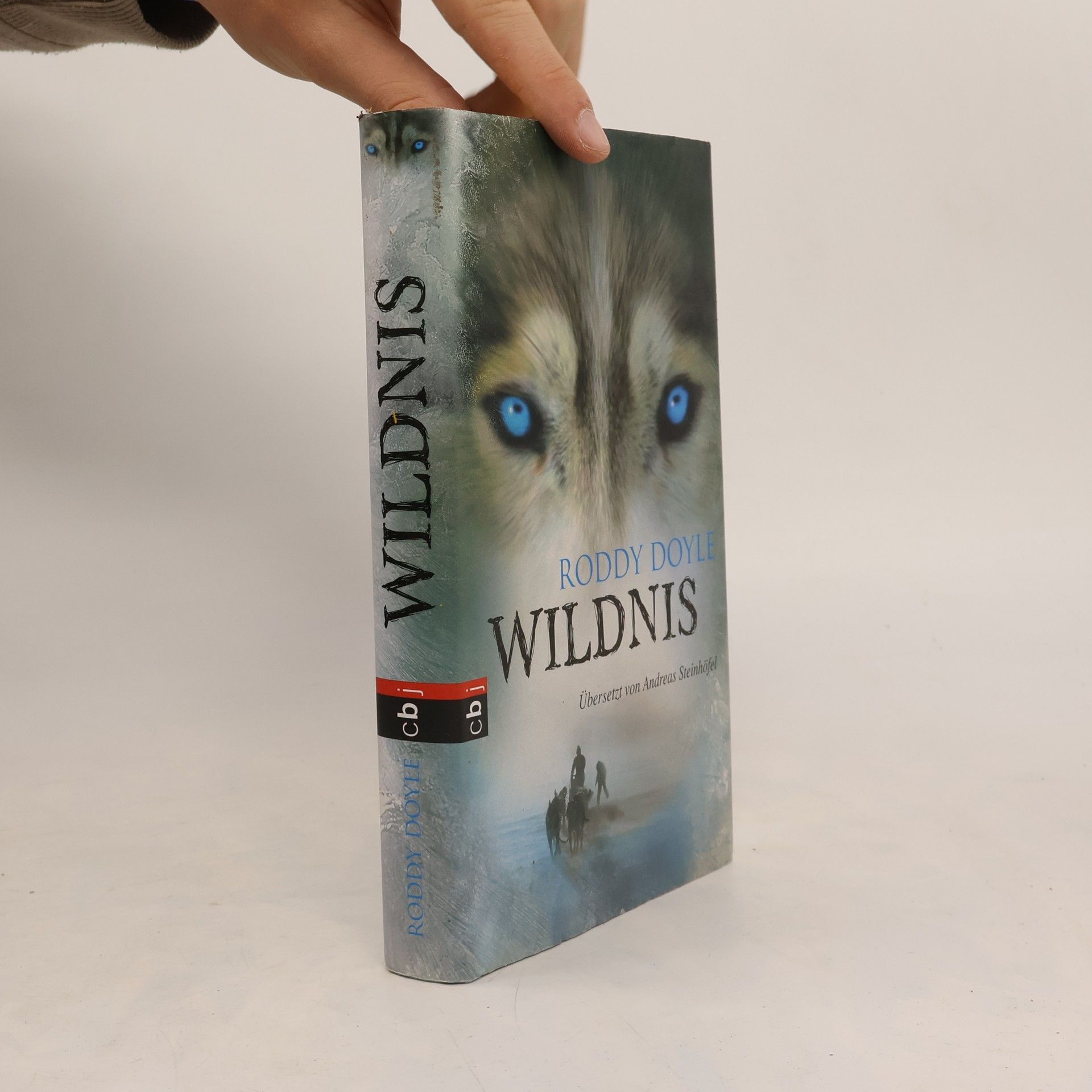 Roddy Doyle Wildnis