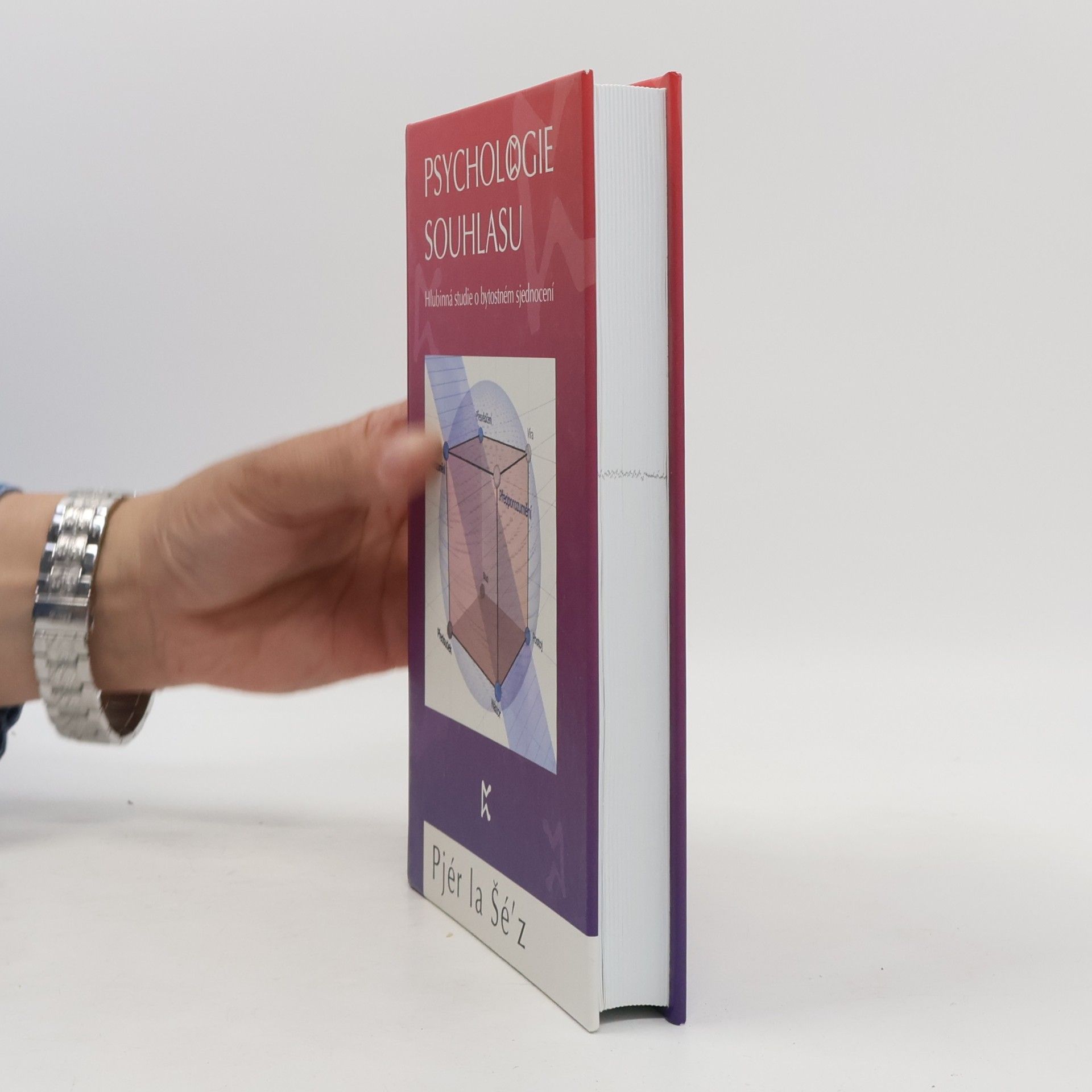 Pjér la Šéz Psychologie souhlasu. Hlubinná studie o bytostném sjednocení