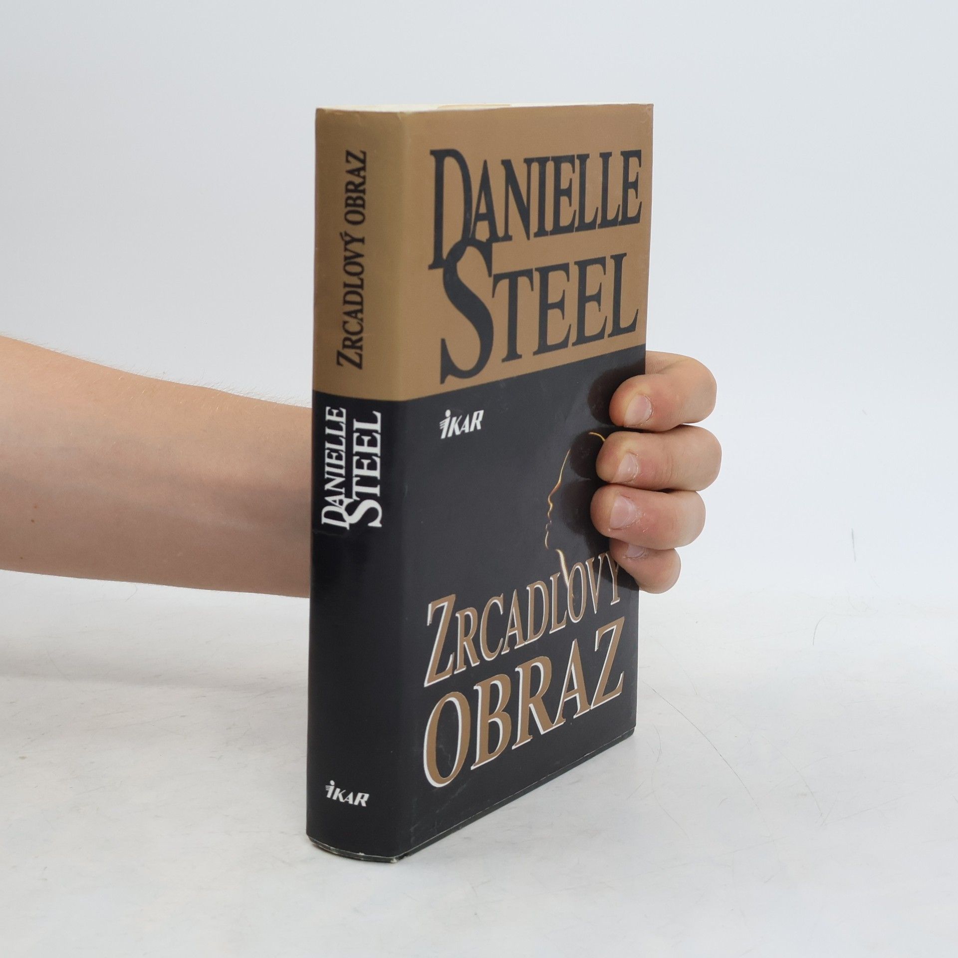 Danielle Steel Zrcadlový obraz