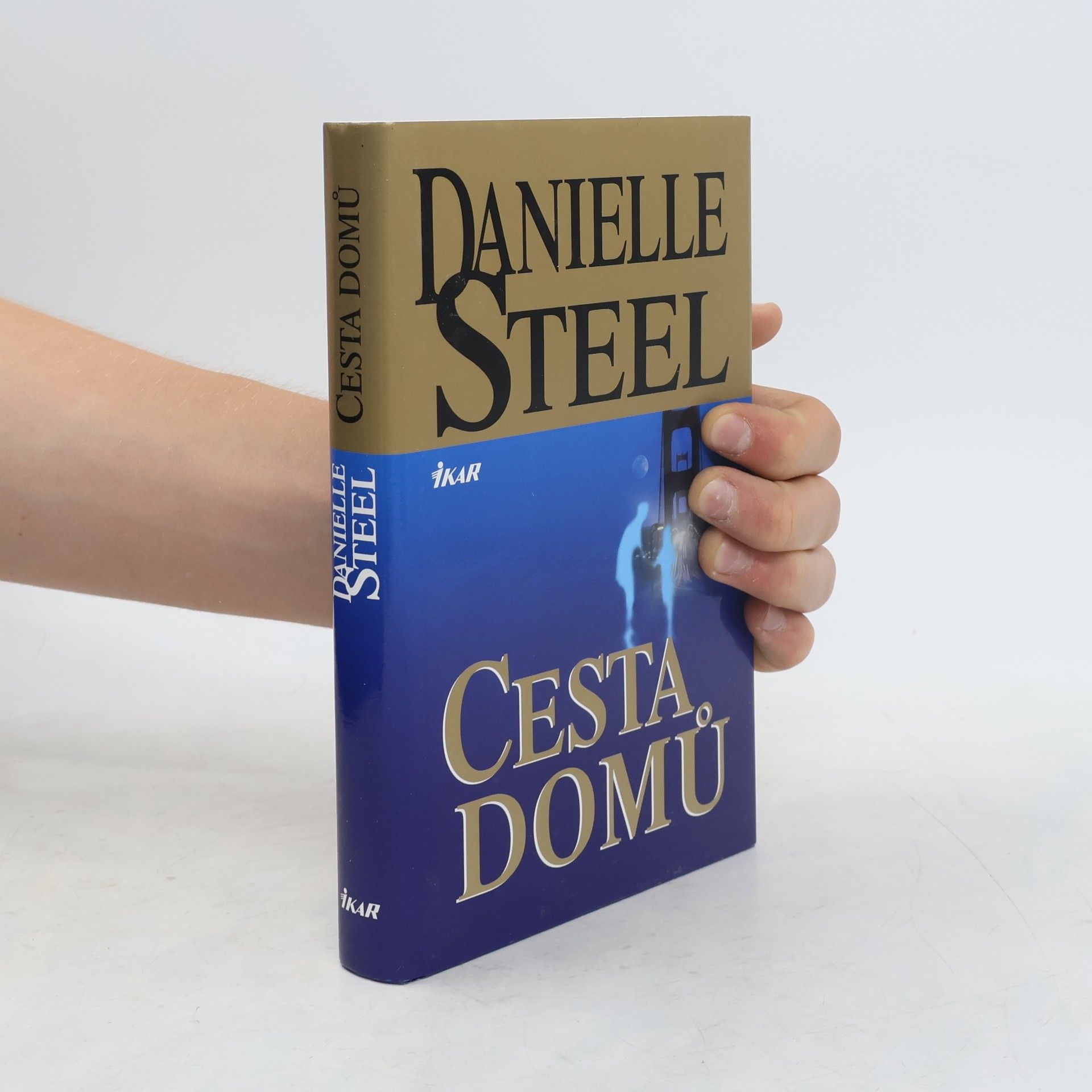Danielle Steel Cesta domů