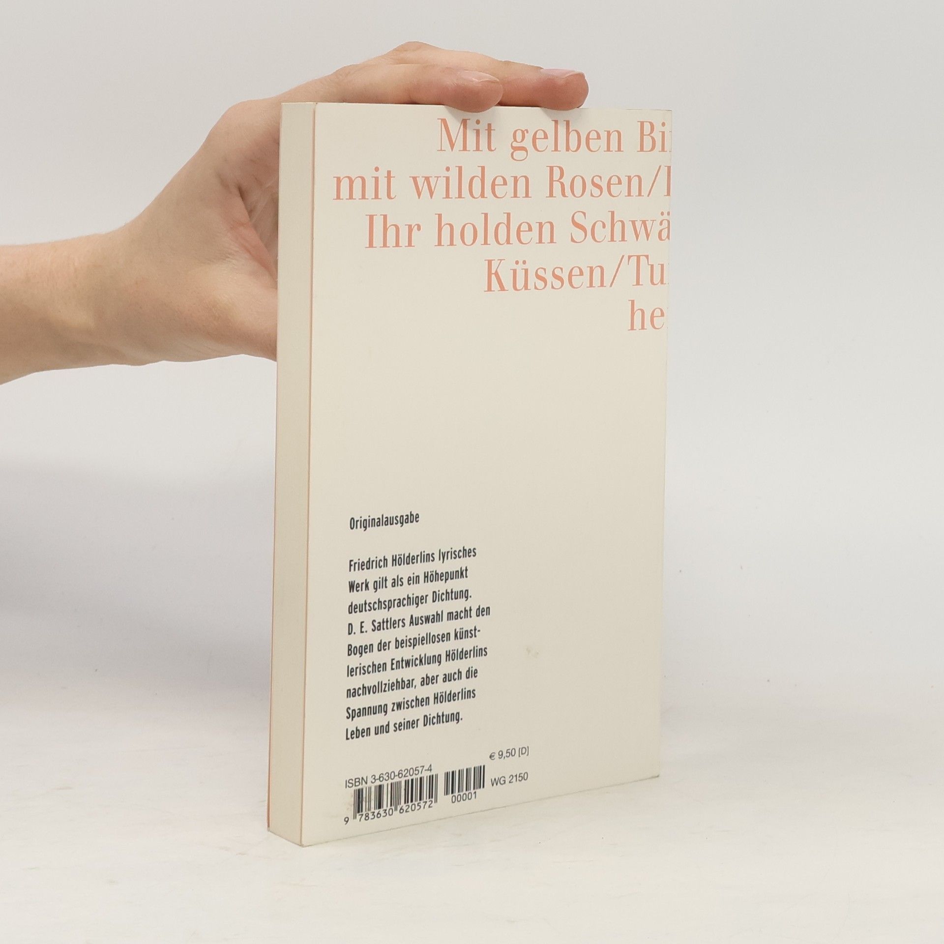 Friedrich Hölderlin Sammlung Luchterhand - 2057: Einhundert Gedichte