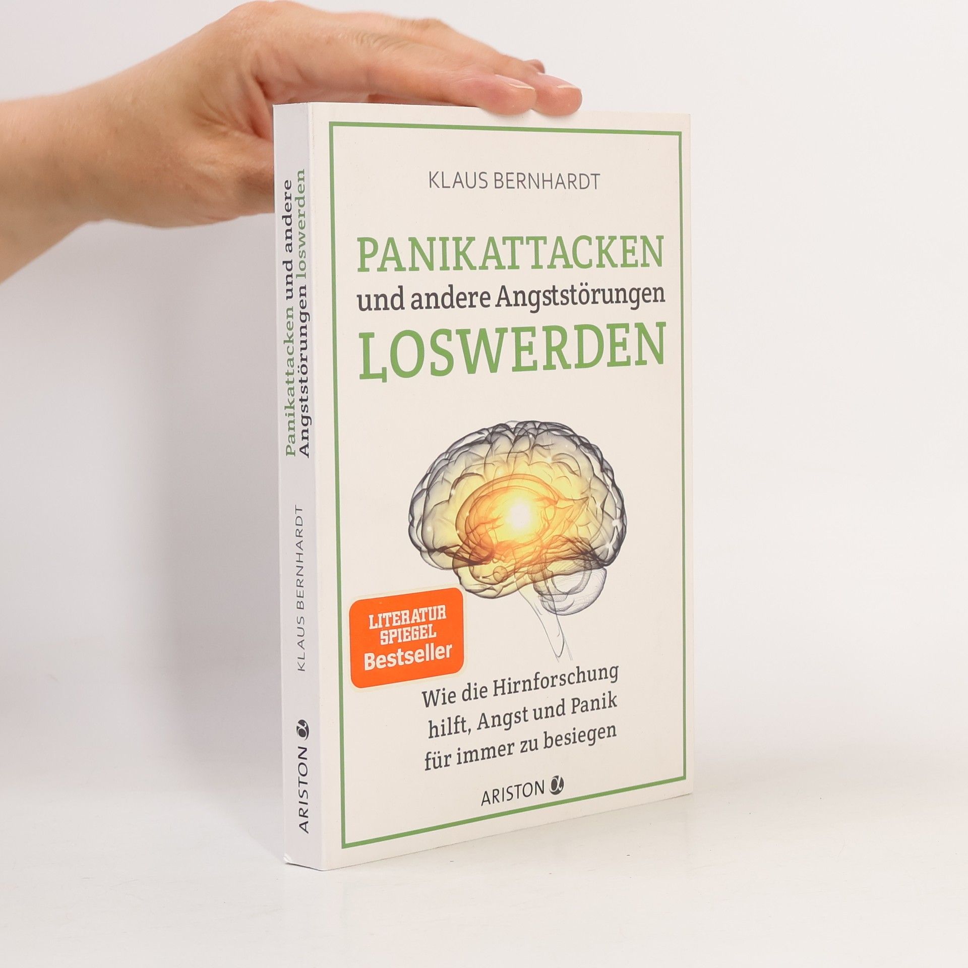 Klaus Bernhardt Panikattacken und andere Angststörungen loswerden