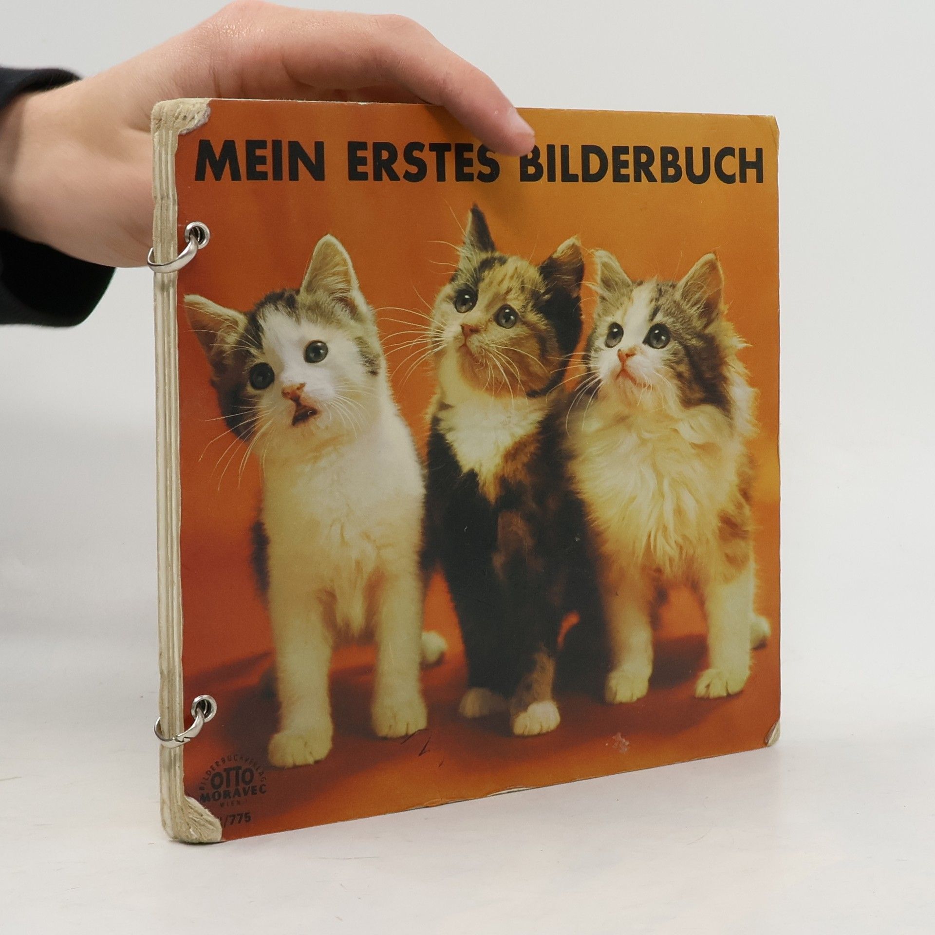 Autorenkollektiv Mein erstes Bilderbuch