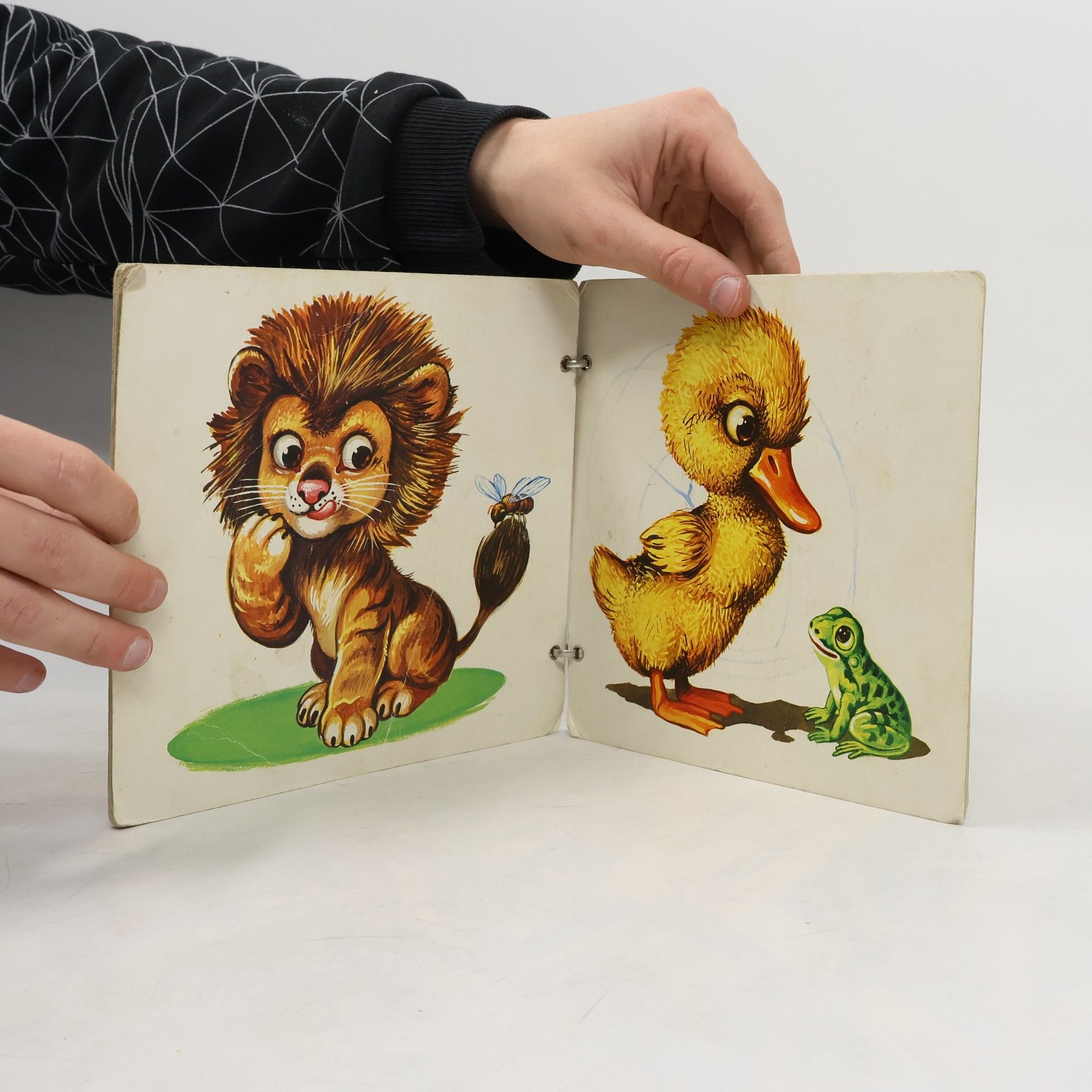 Autorenkollektiv Mein erstes Bilderbuch