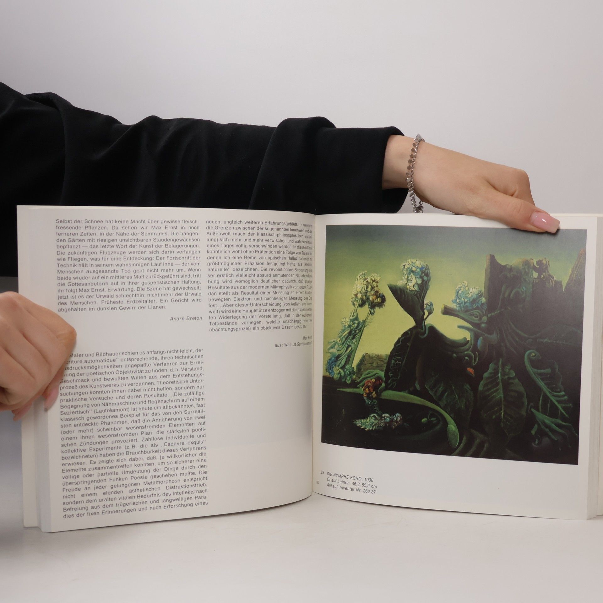 Autorenkollektiv Surrealismus