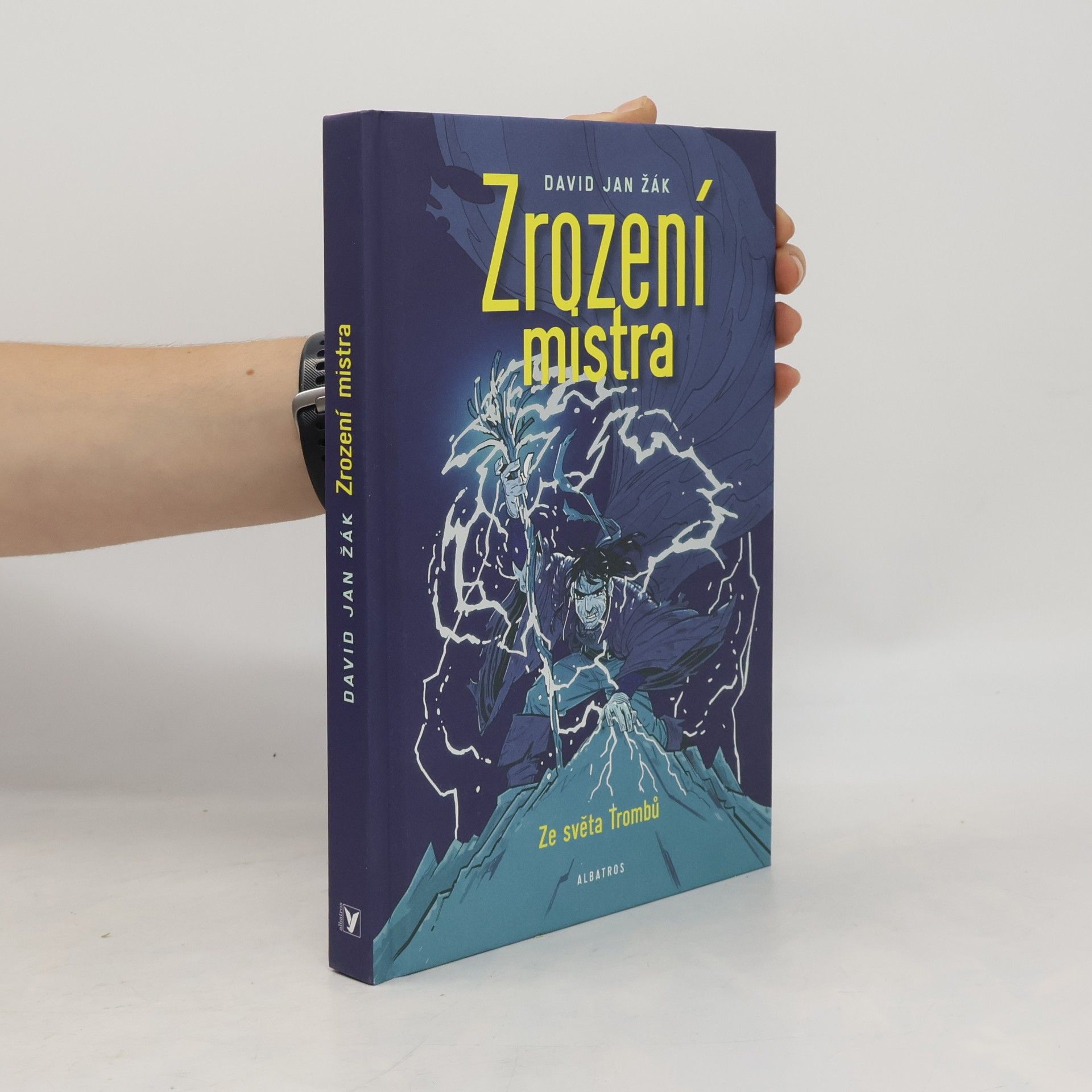 Viktor Svoboda Zrození mistra