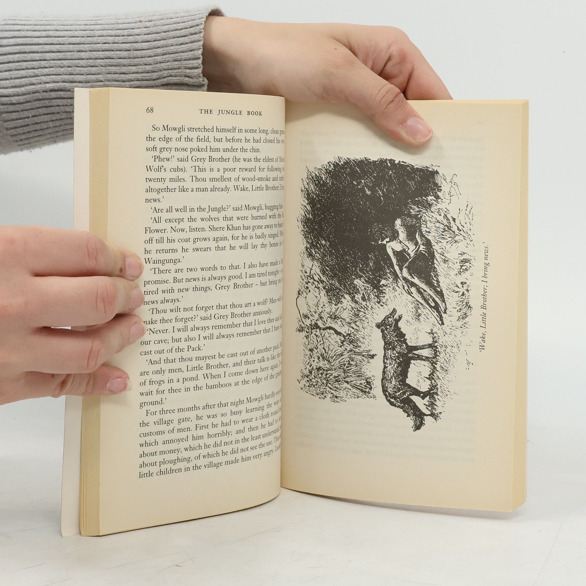 Rudyard Kipling The Jungle Book