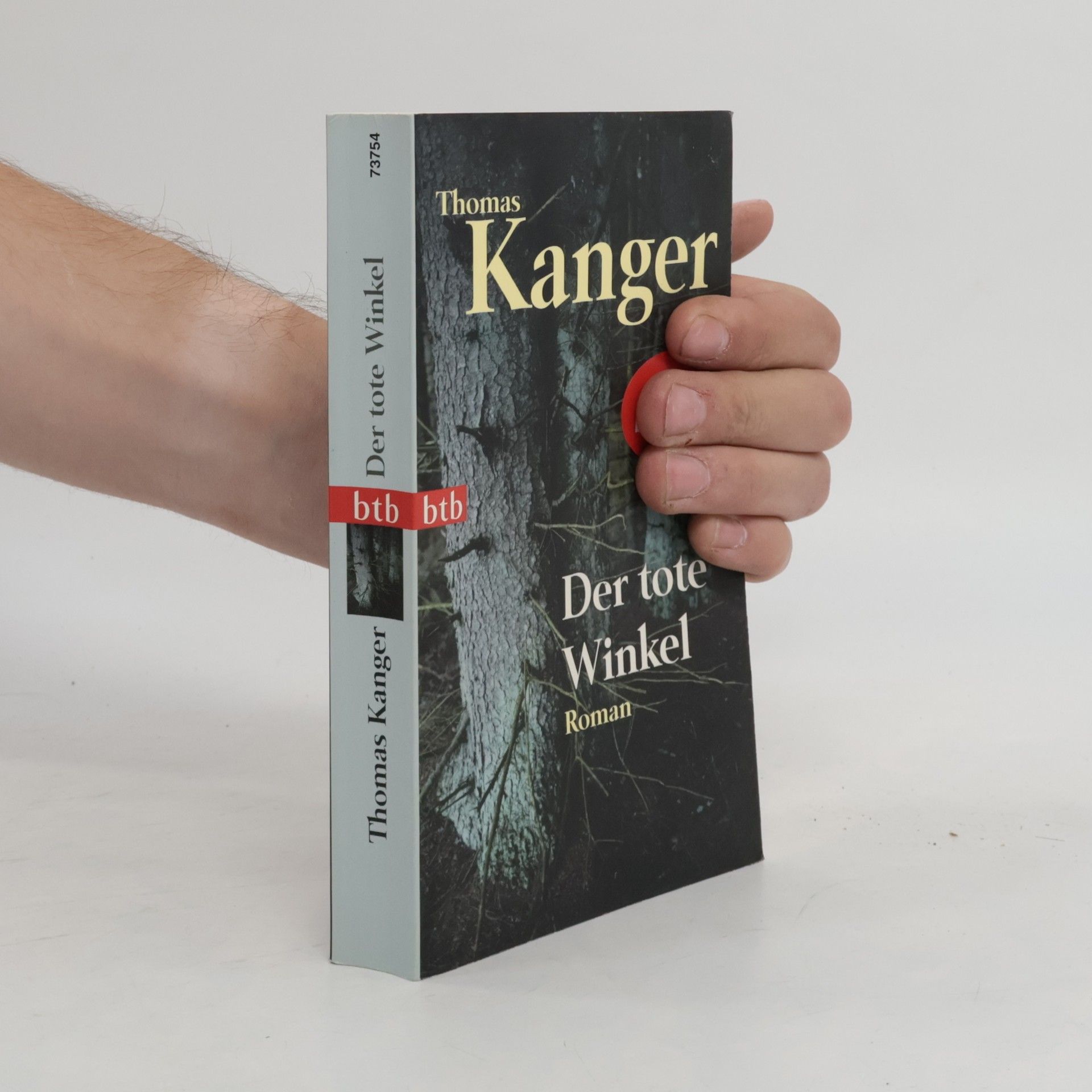 Thomas Kanger Der tote Winkel