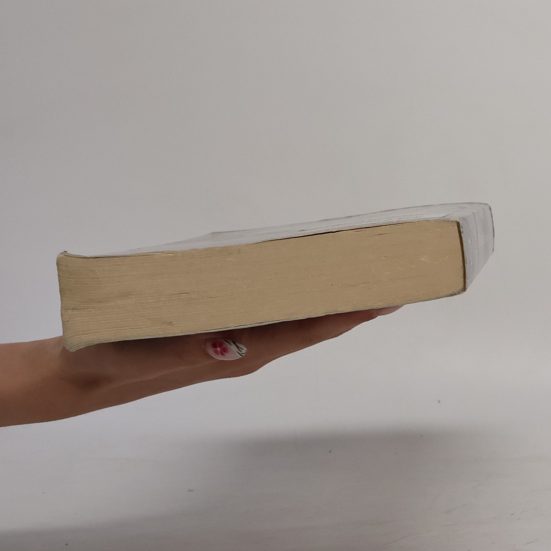 Roman David Politologie : základy společenských věd