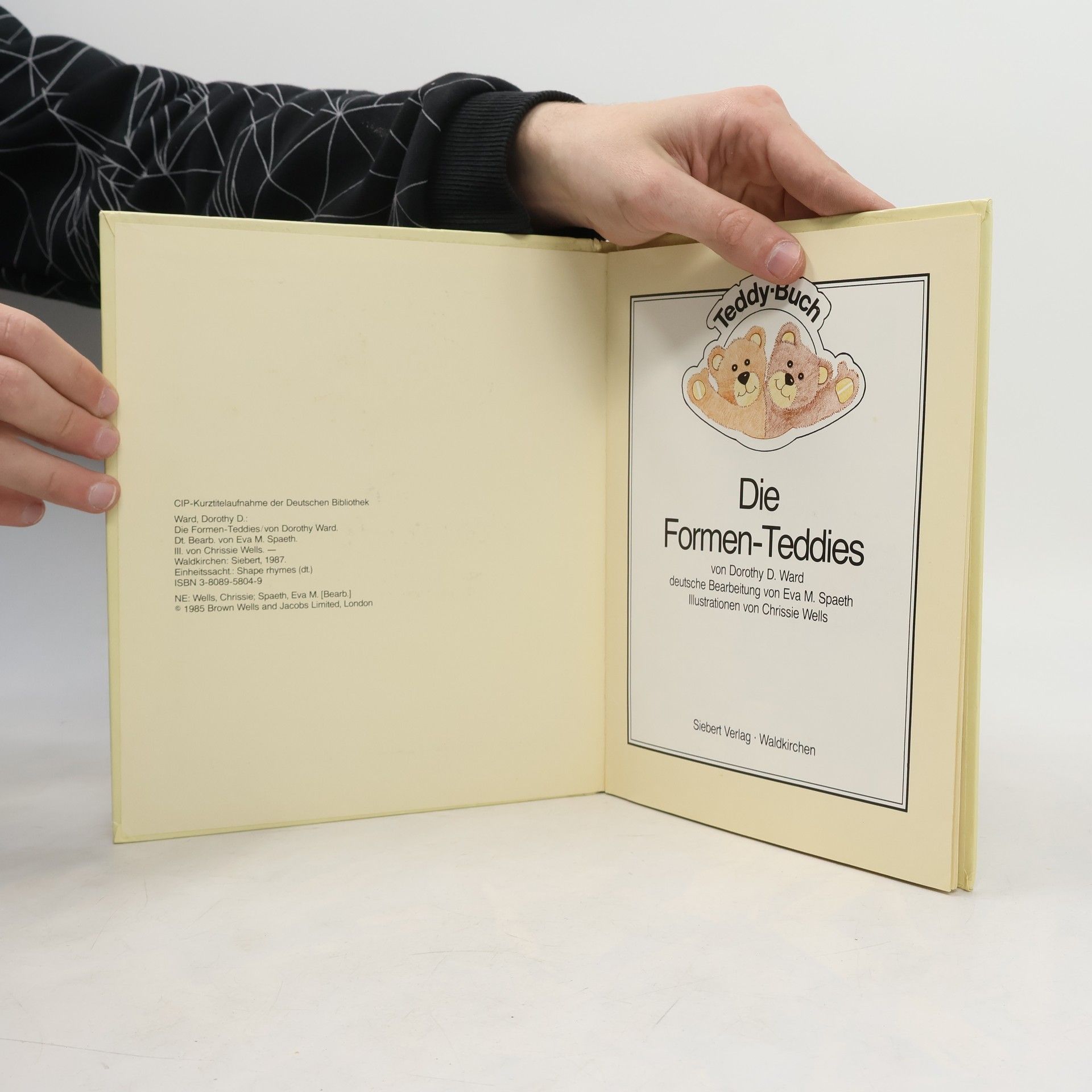Die Formen-Teddies