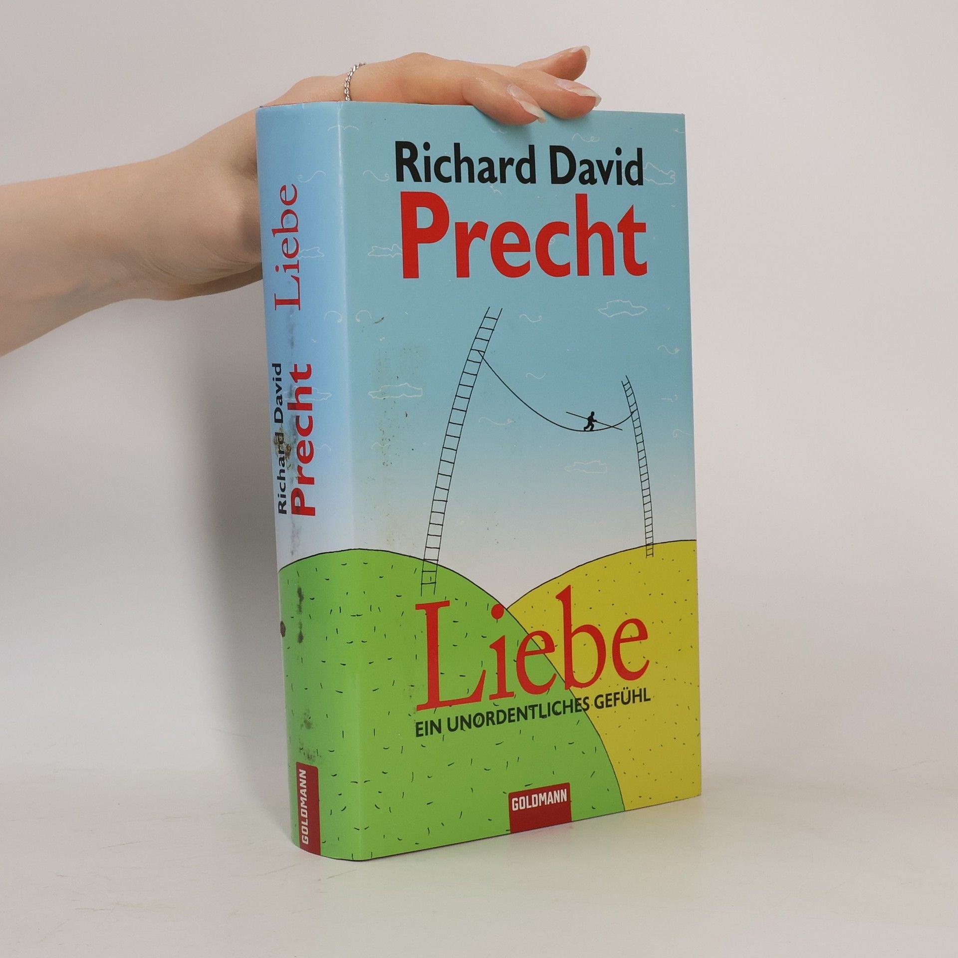 Richard David Precht Liebe ein Unordentliches Gefühl