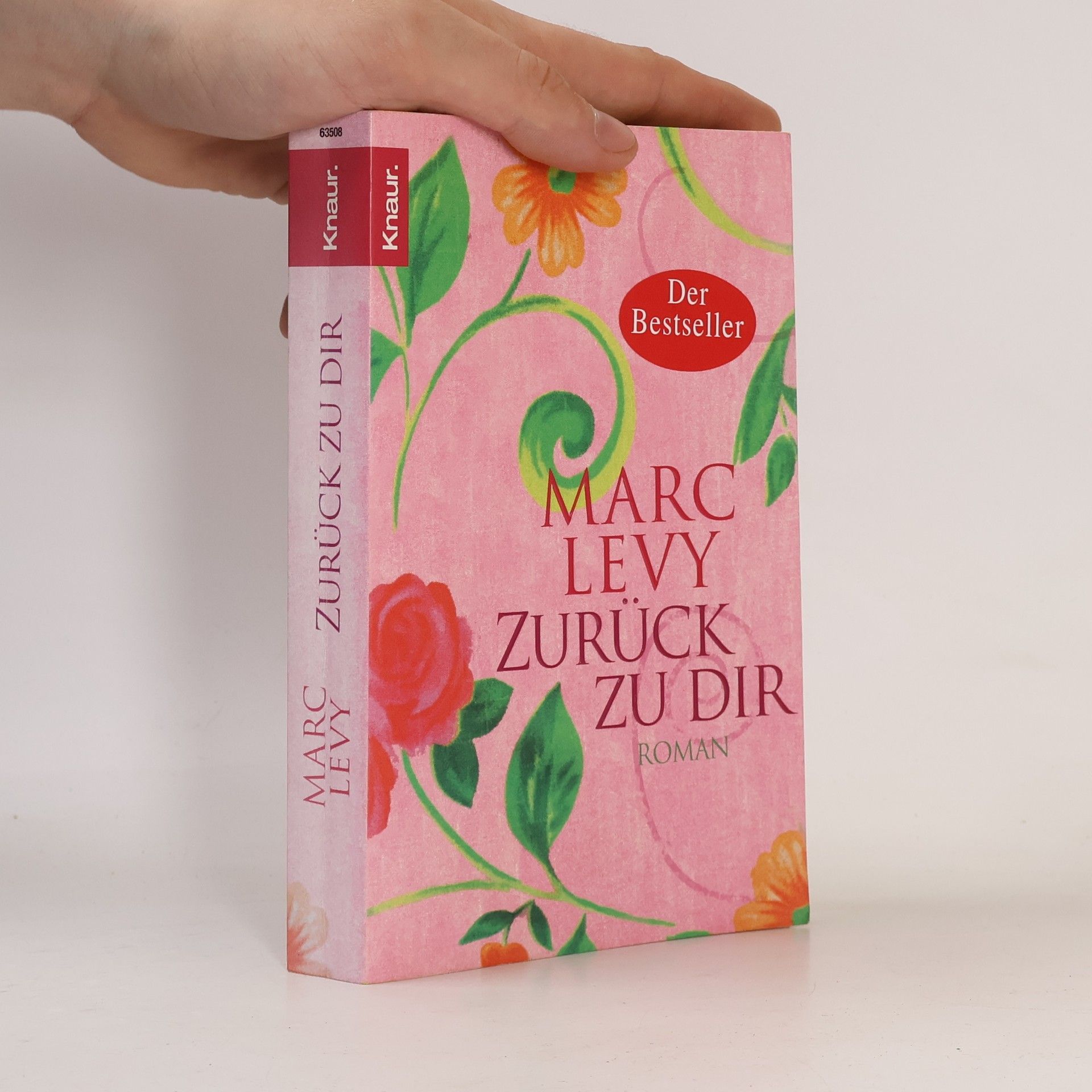 Marc Levy Zurück zu dir
