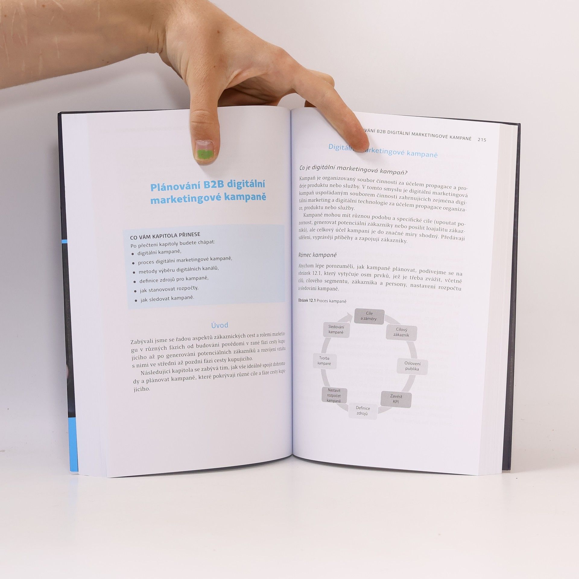 Simon Hall Strategie B2B digitálního marketingu: jak využít nové business-to-business strategie a modely k dosažení růstu firmy