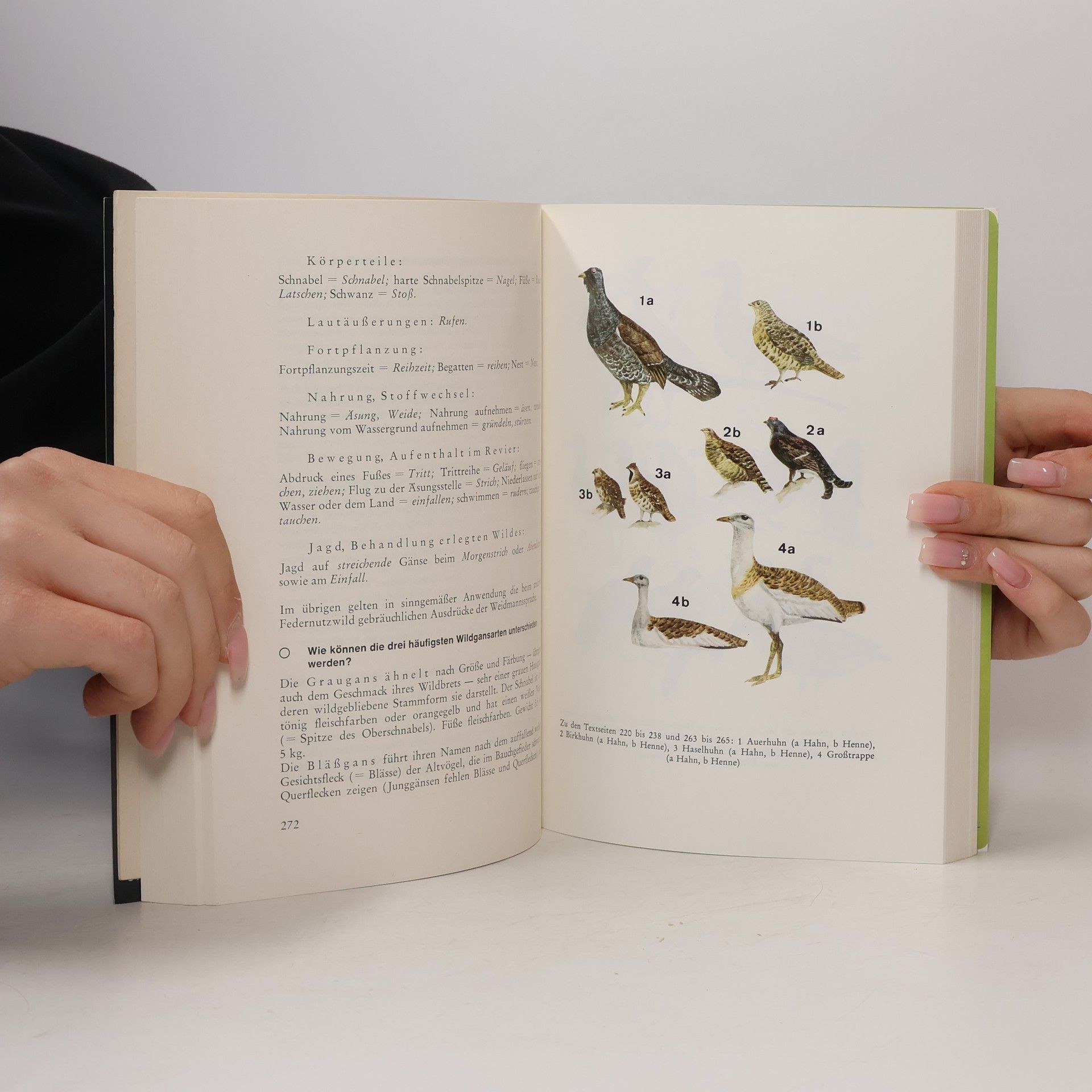 Various authors Der Jagdprüfungsbehelf