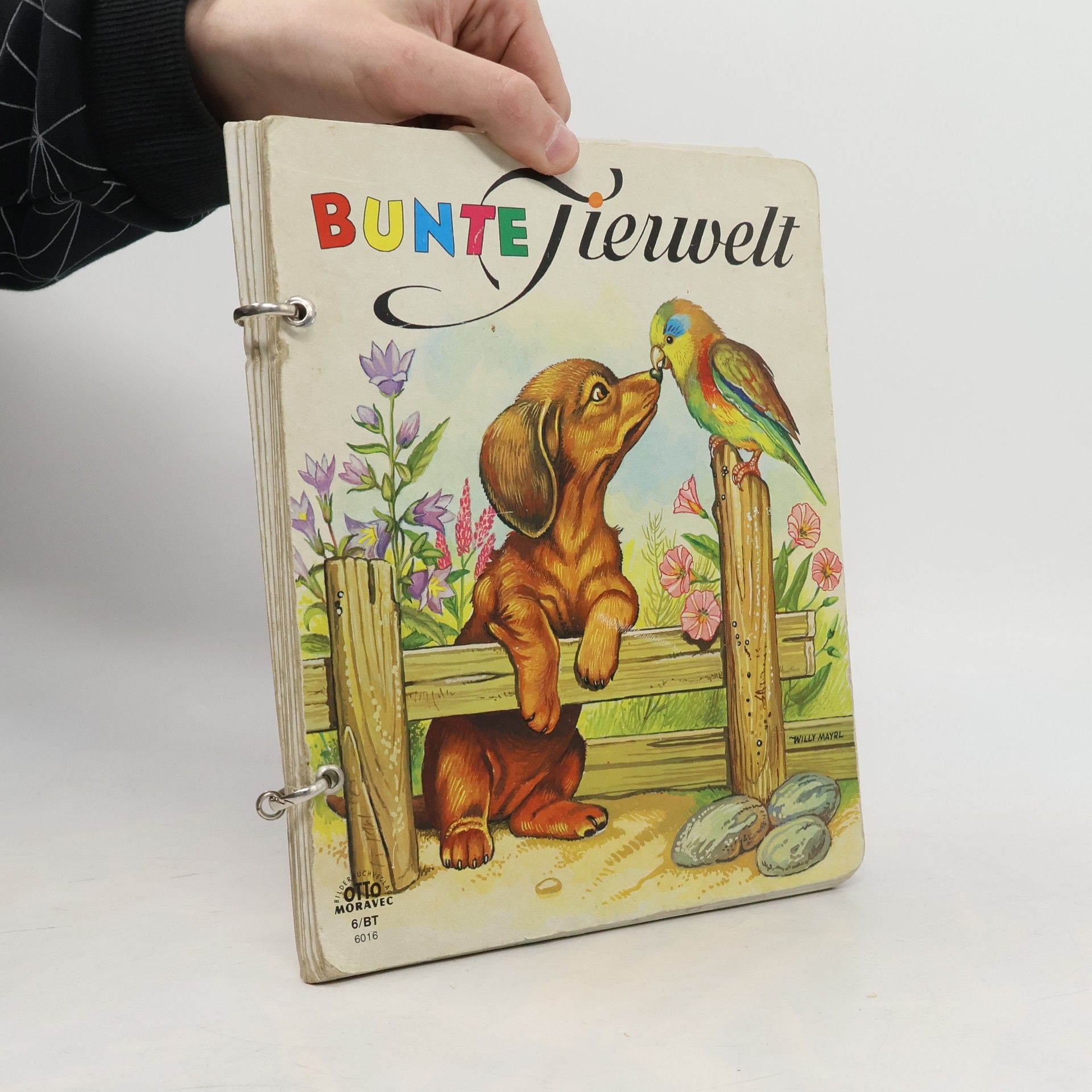Kolektív autorov Bunte Tierwelt