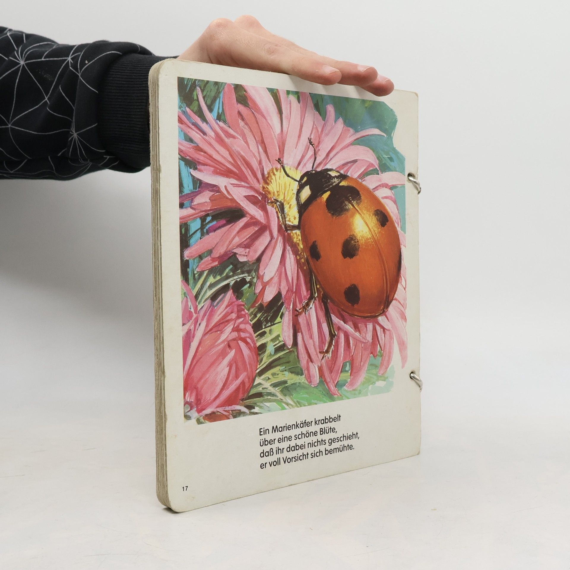Kolektív autorov Bunte Tierwelt