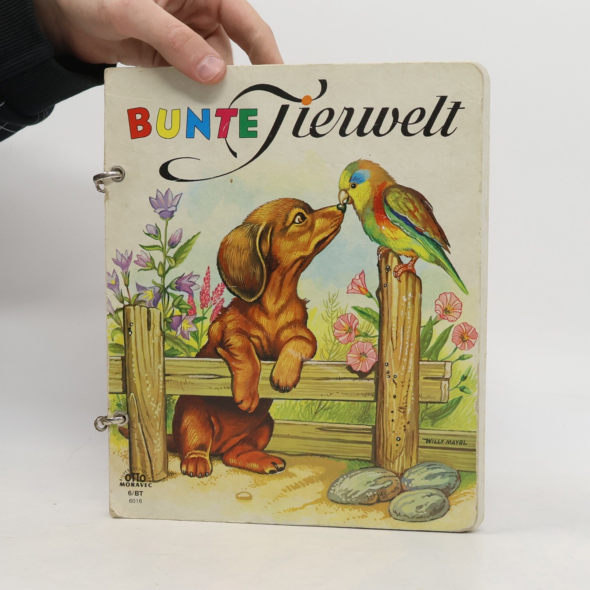Kolektív autorov Bunte Tierwelt