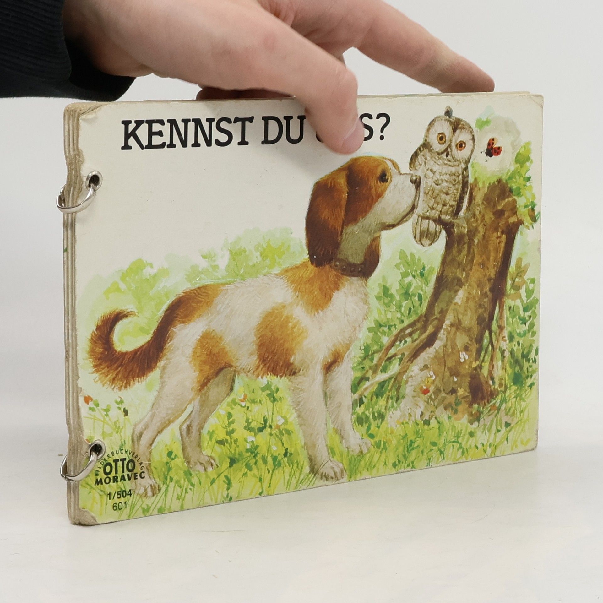 Autorenkollektiv Kennst du uns?