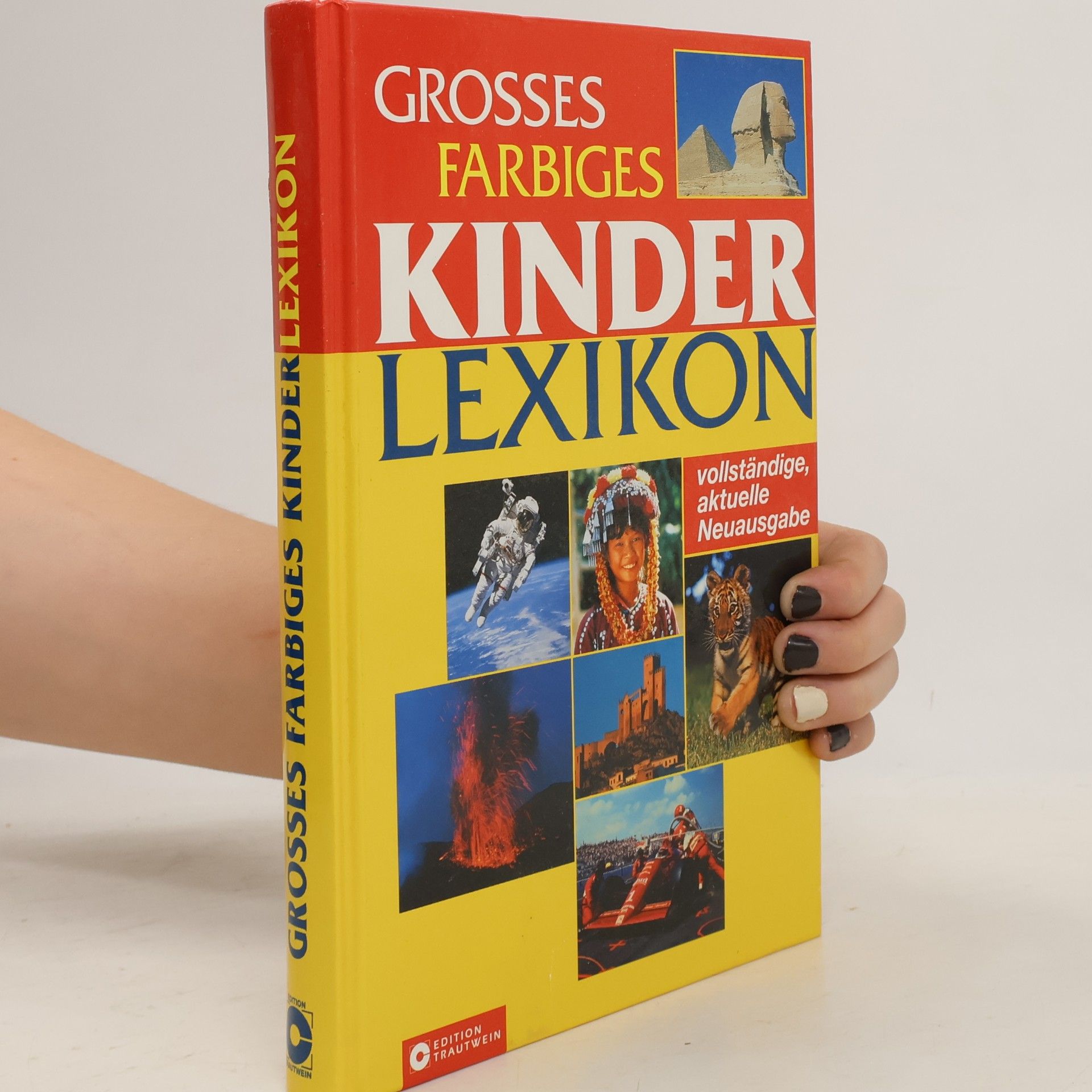 Alexander Laudien Grosses farbiges Kinderlexikon