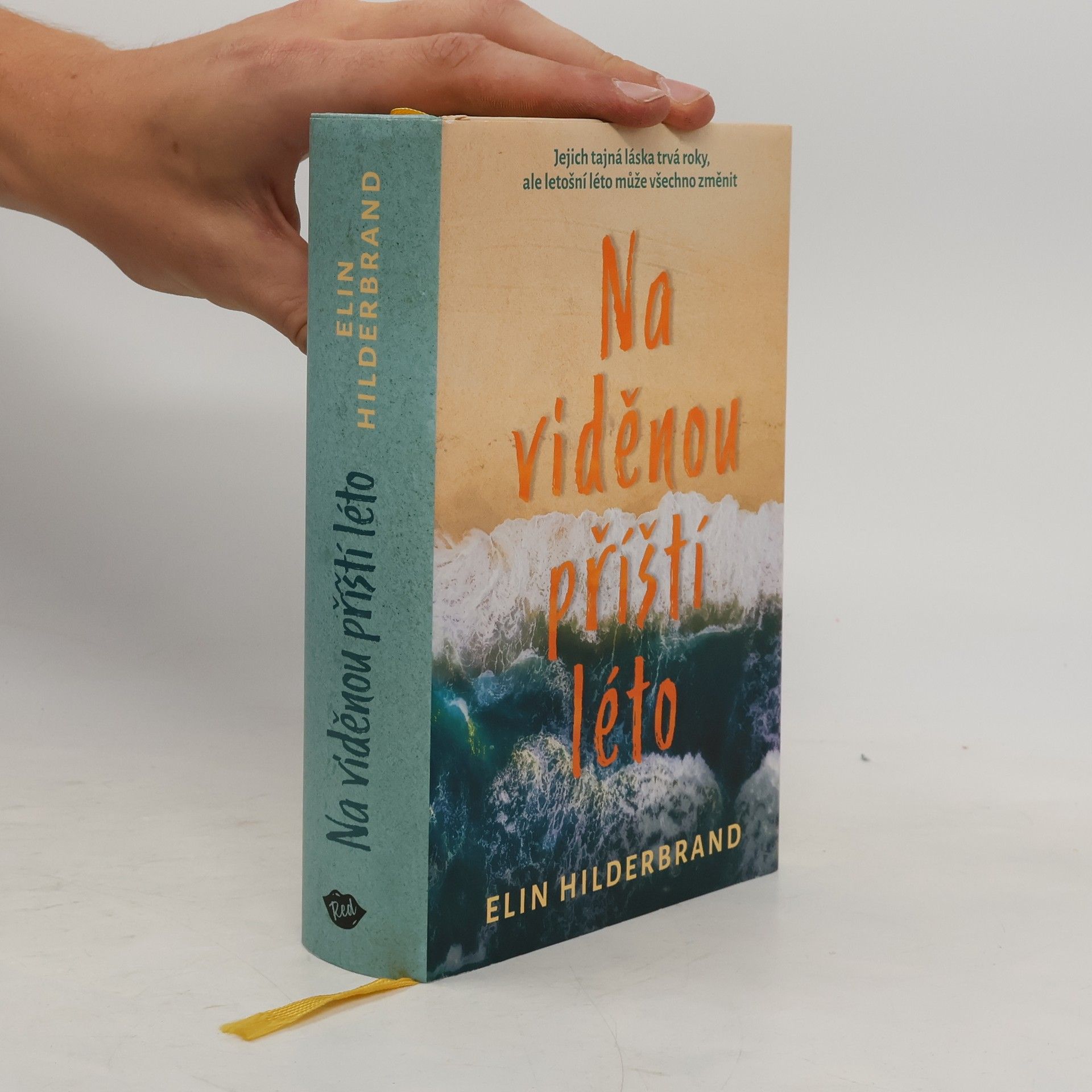 Elin Hilderbrand Na viděnou příští léto
