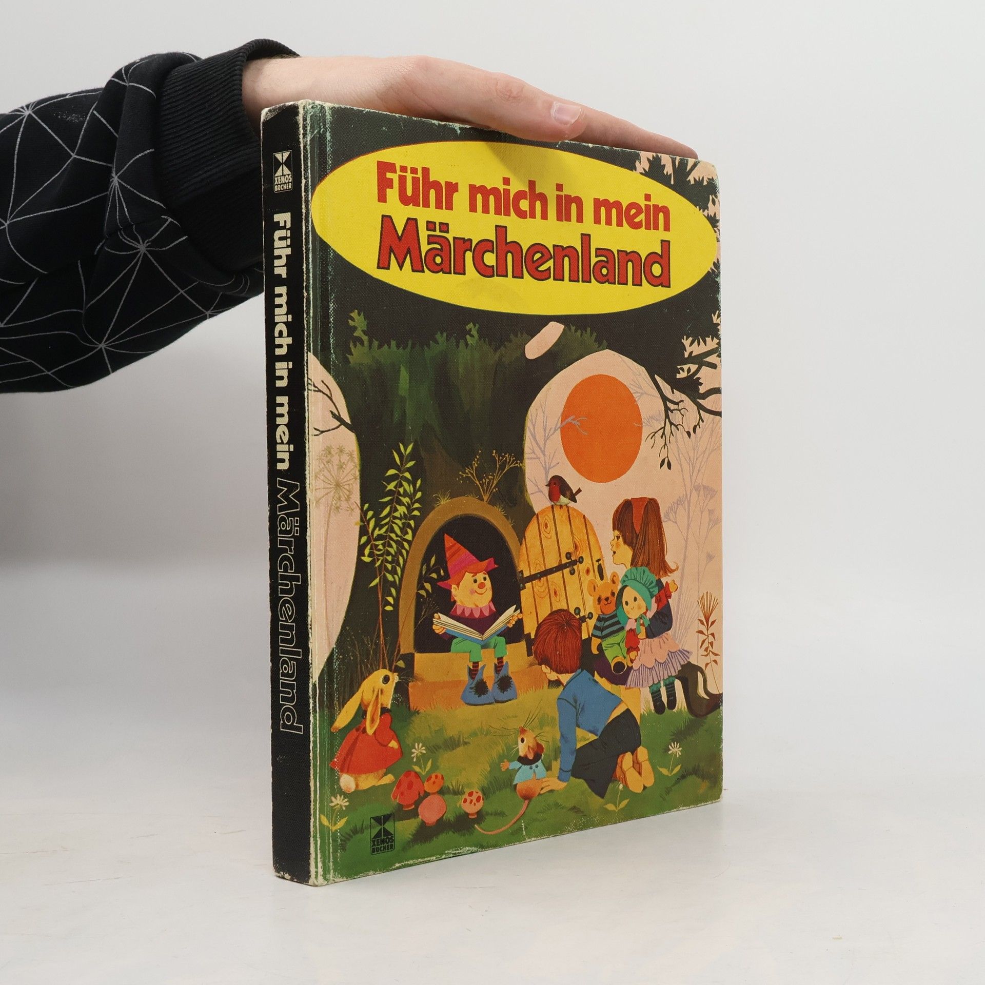 Autorenkollektiv Führ mich in mein Märchenland