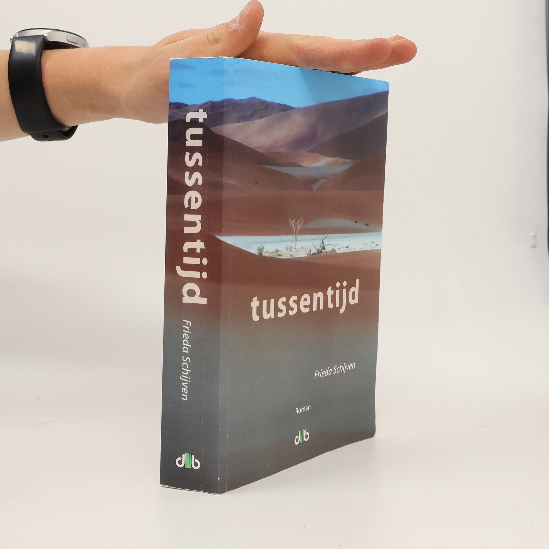 Frieda Schijven Tussentijd