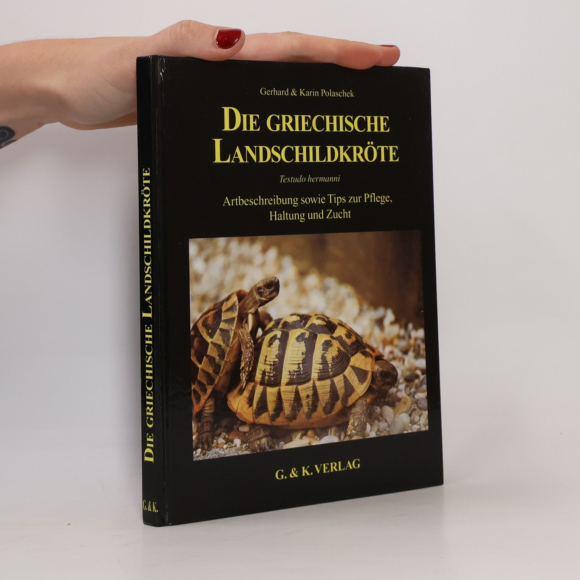 Die Griechische Landschildkröte, Testudo hermanni